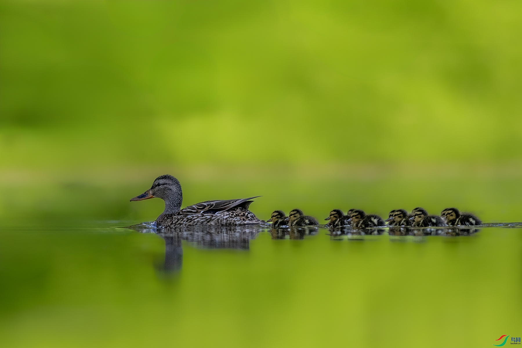 488A9917 ����.jpg