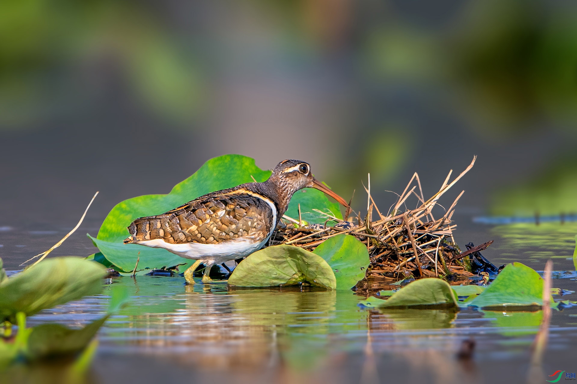 _AUU3156��԰(24.5.6).jpg