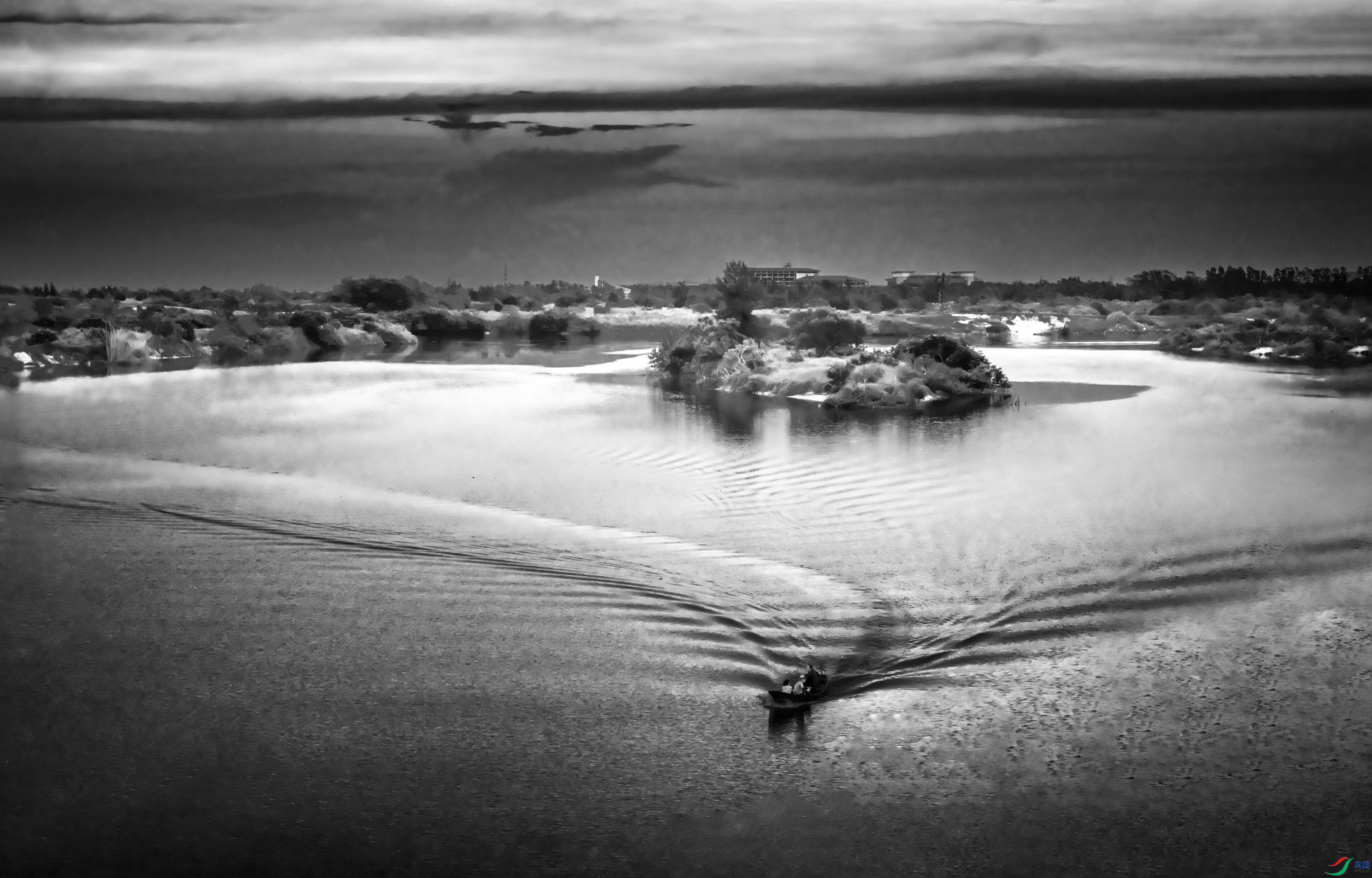 ������Ӱ