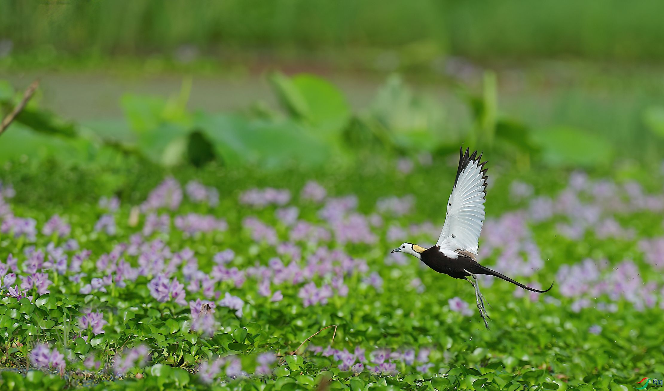 B43I6351-SharpenAI-Motion.jpg
