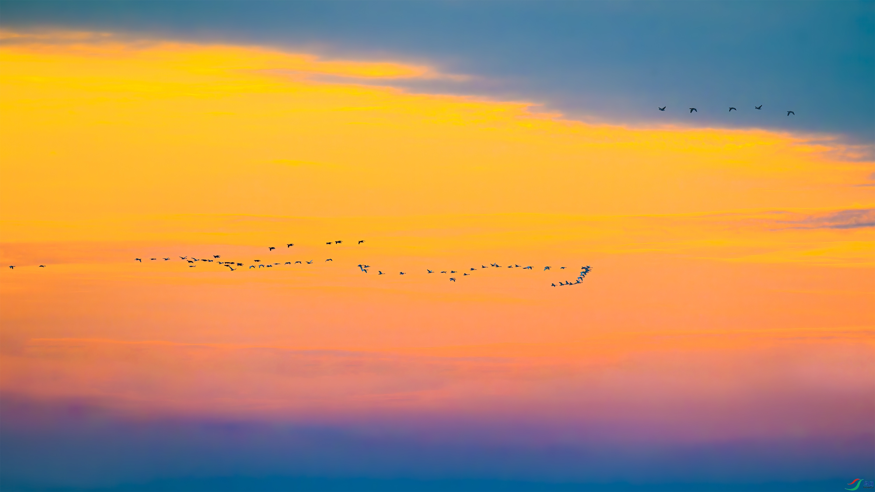 DSC_5908_DxO.jpg