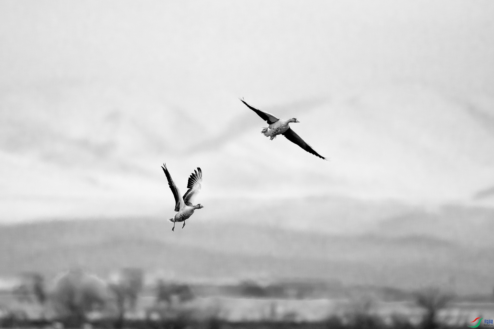 _DSC10940.jpg