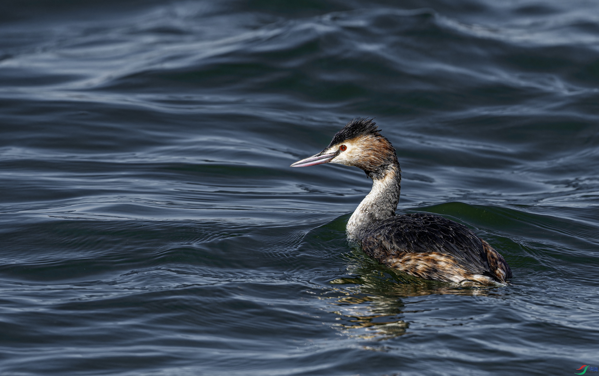 ��ͷ�G�f (15)-01.jpg