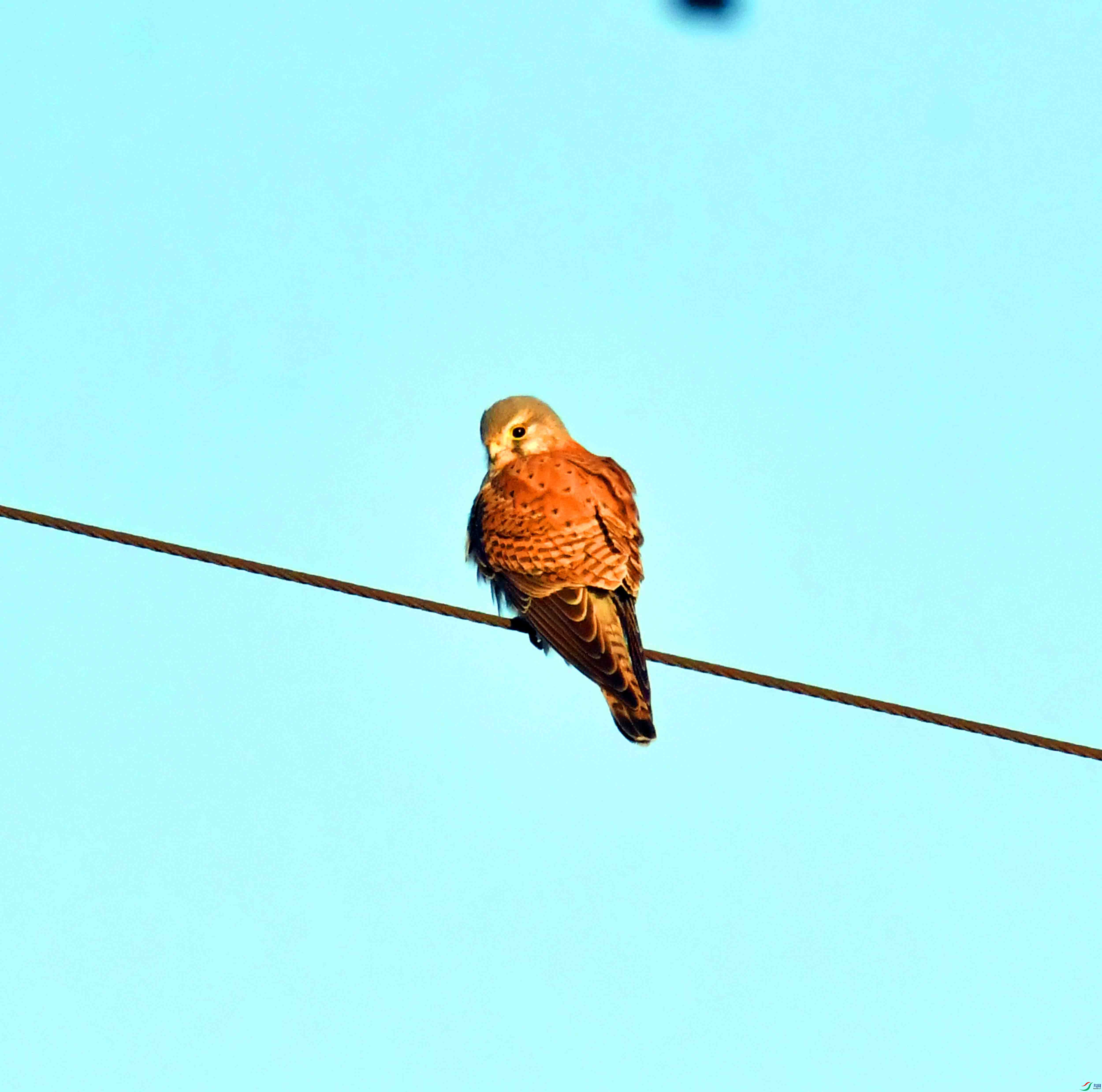 DSC_4133.JPG