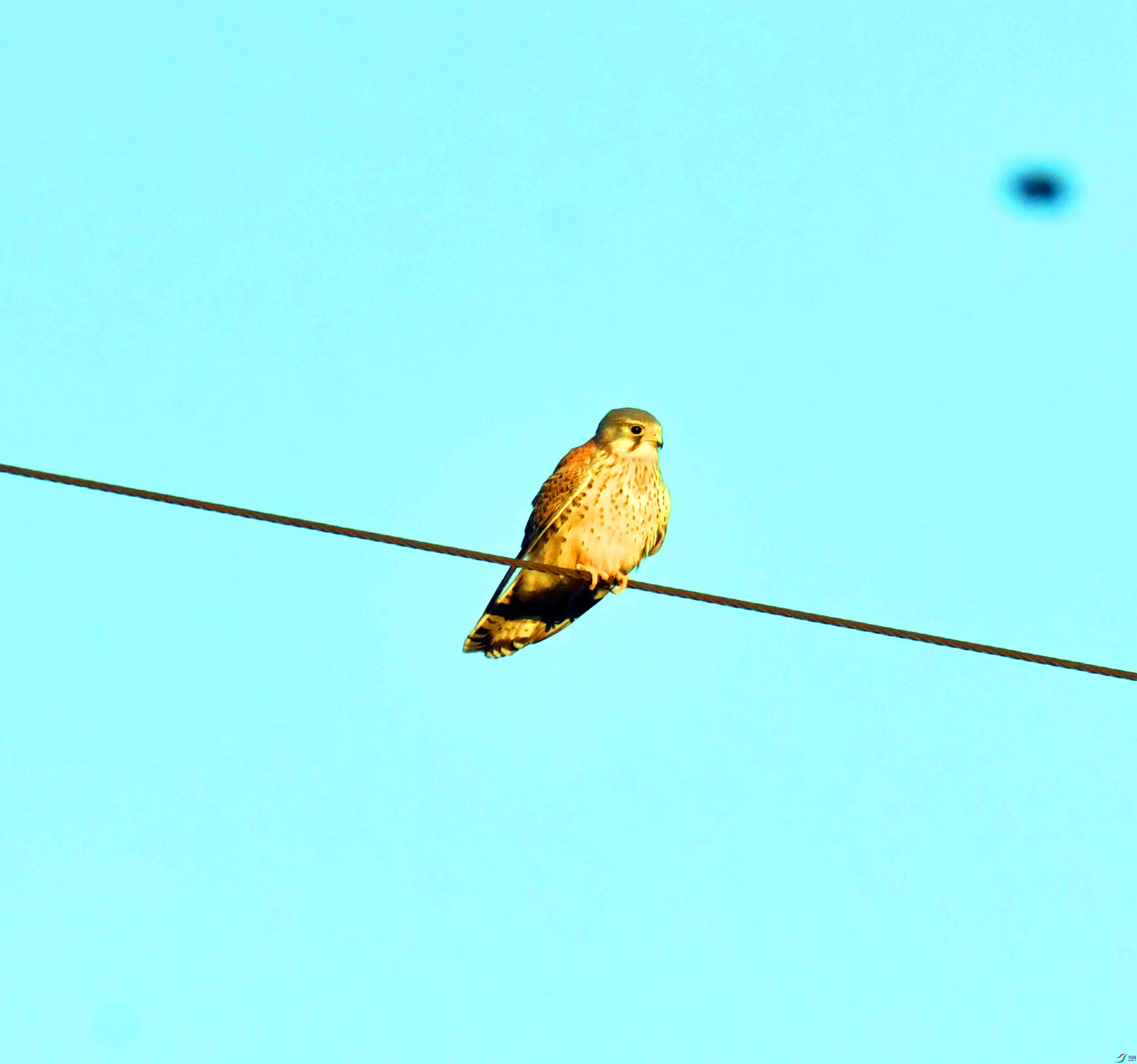 DSC_4128.JPG
