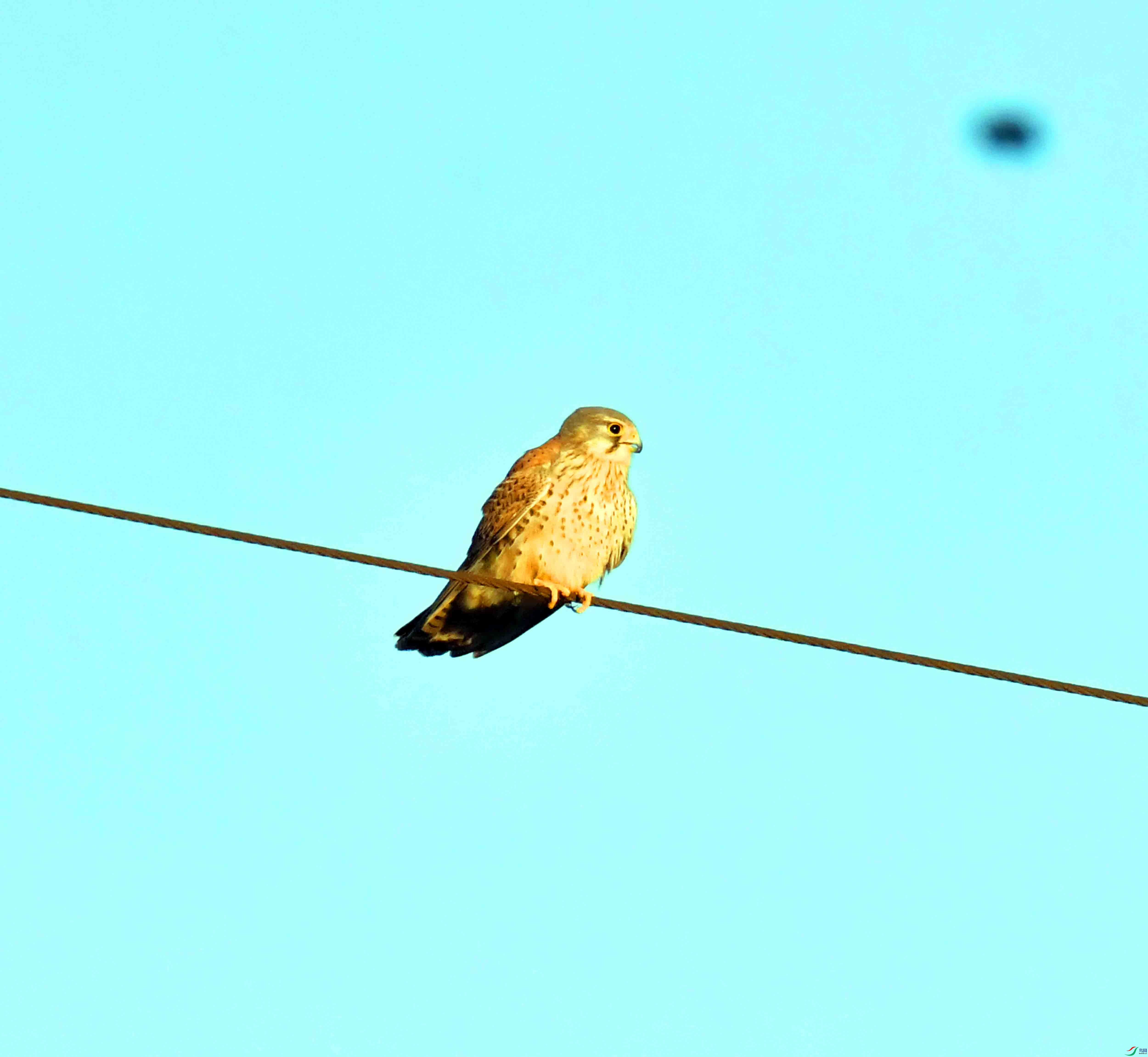DSC_4129.JPG