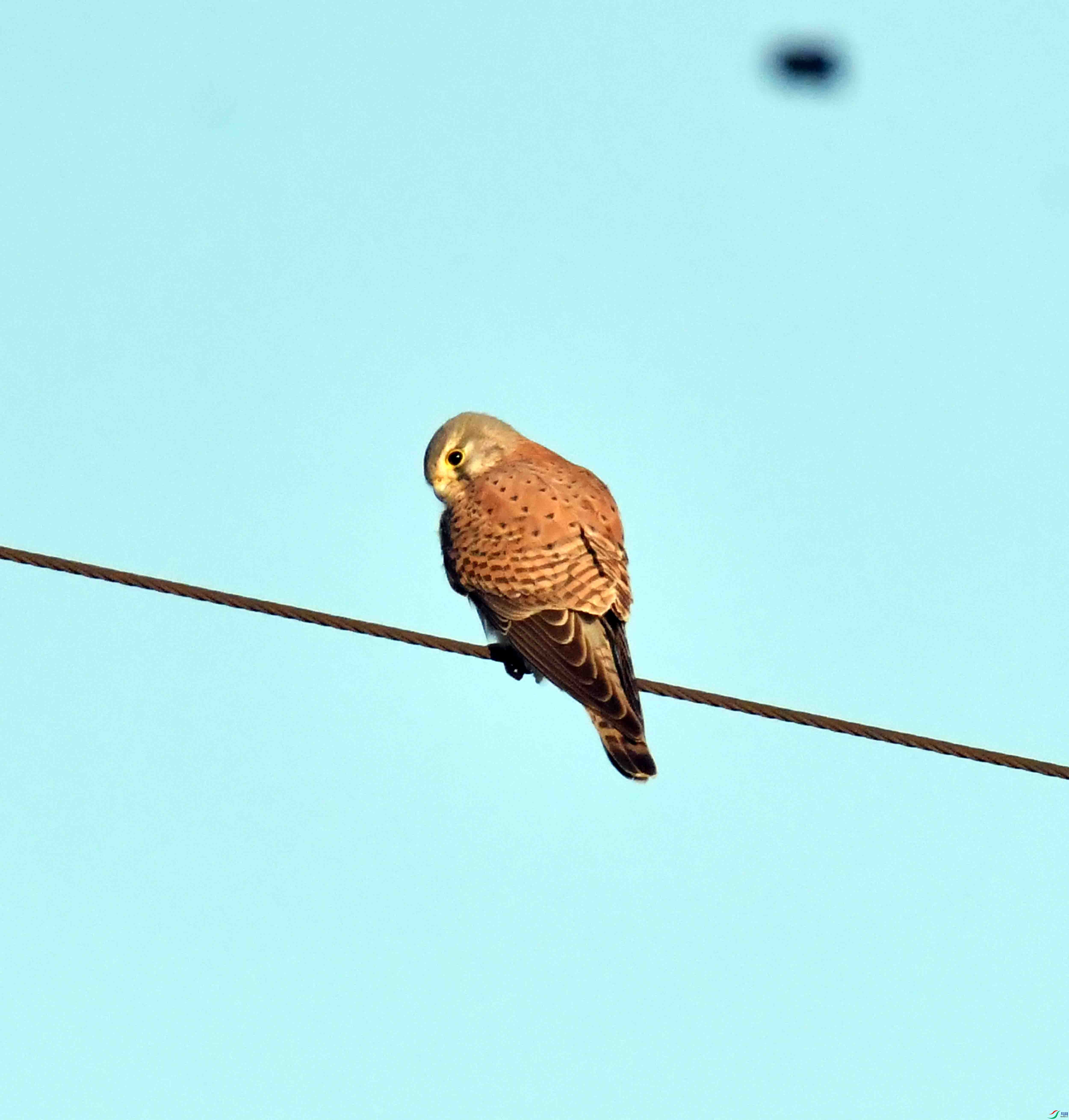 DSC_4143.JPG