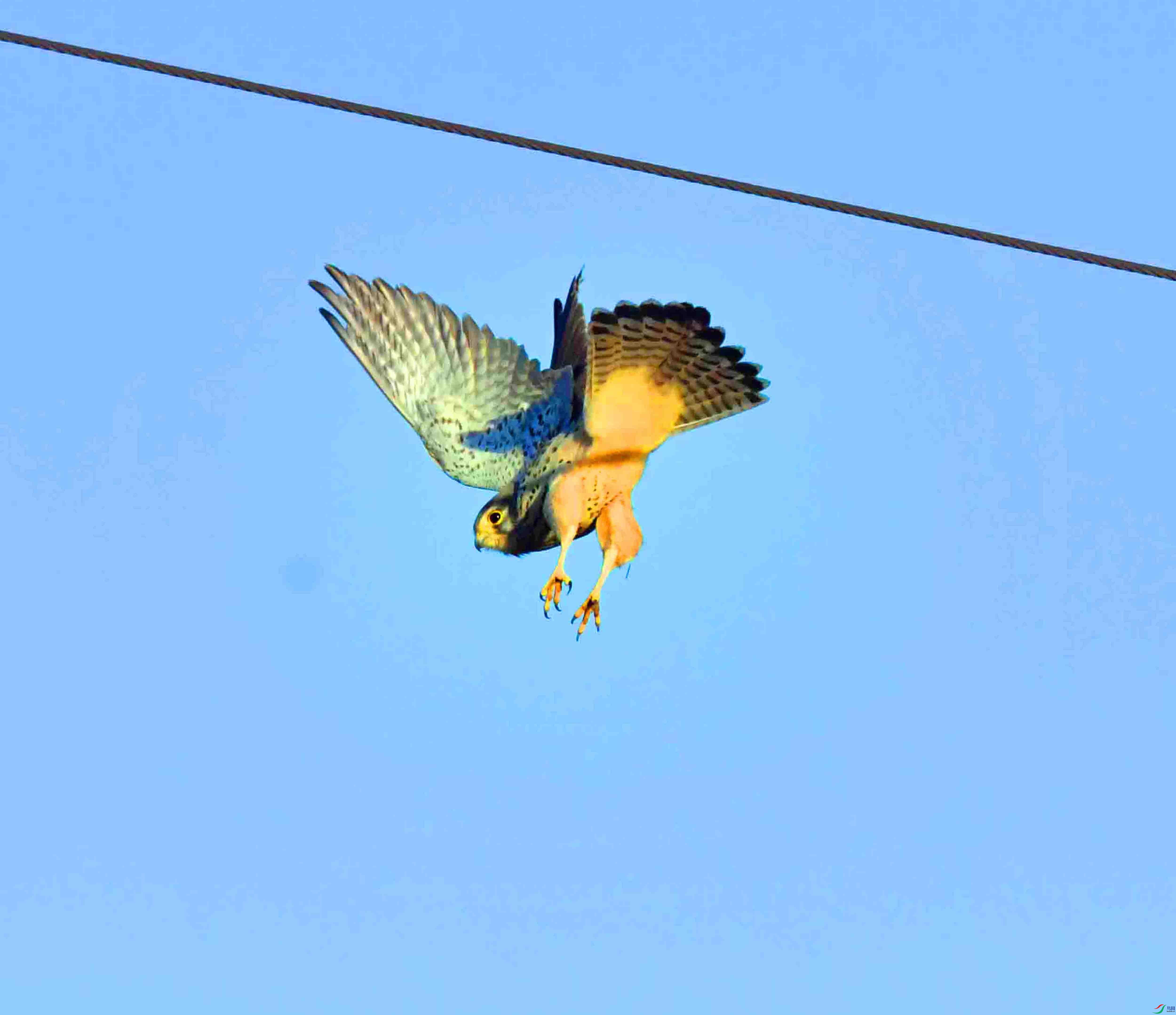 DSC_4144.JPG