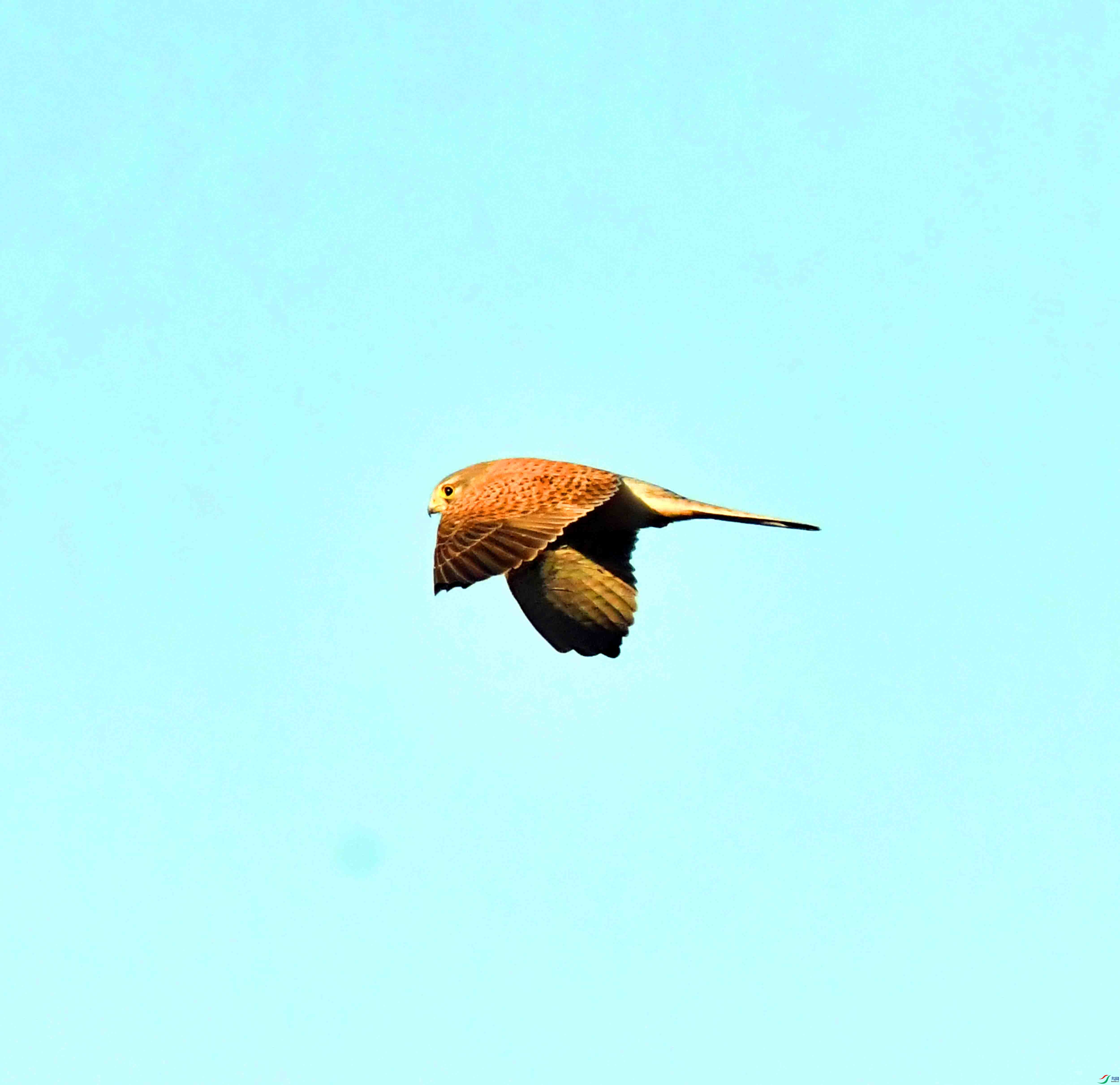 DSC_4148.JPG