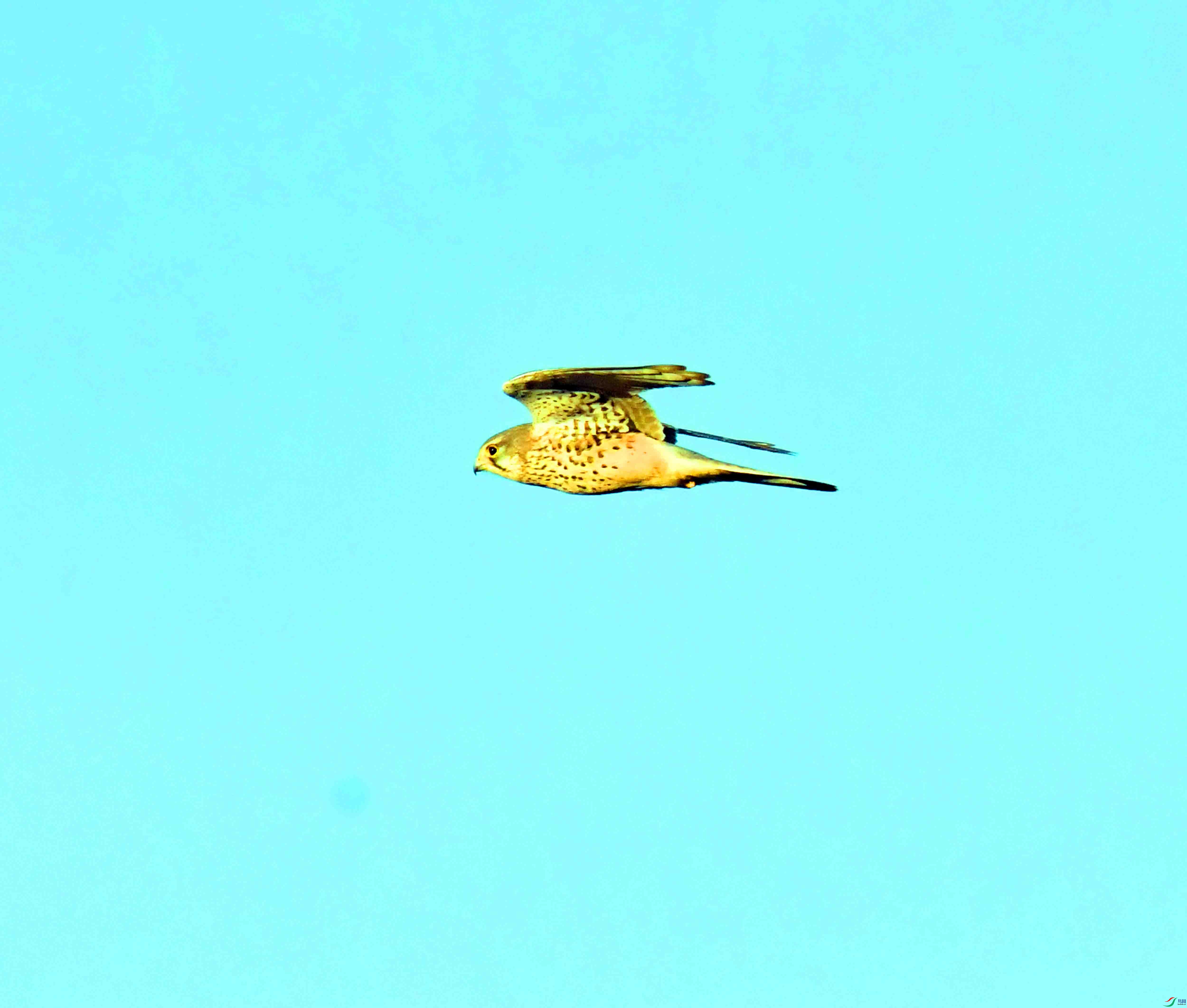 DSC_4147.JPG