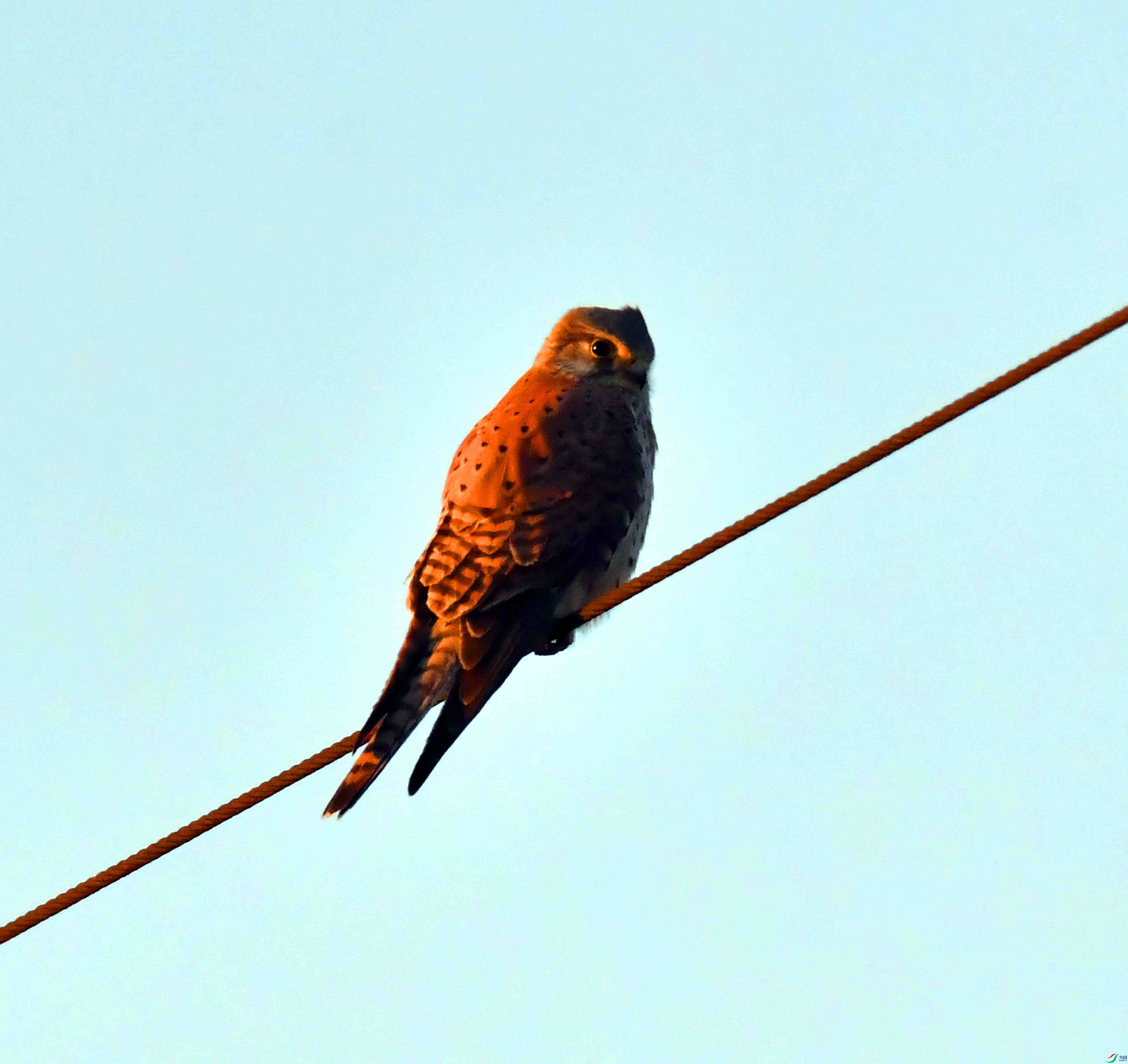 DSC_7166.JPG