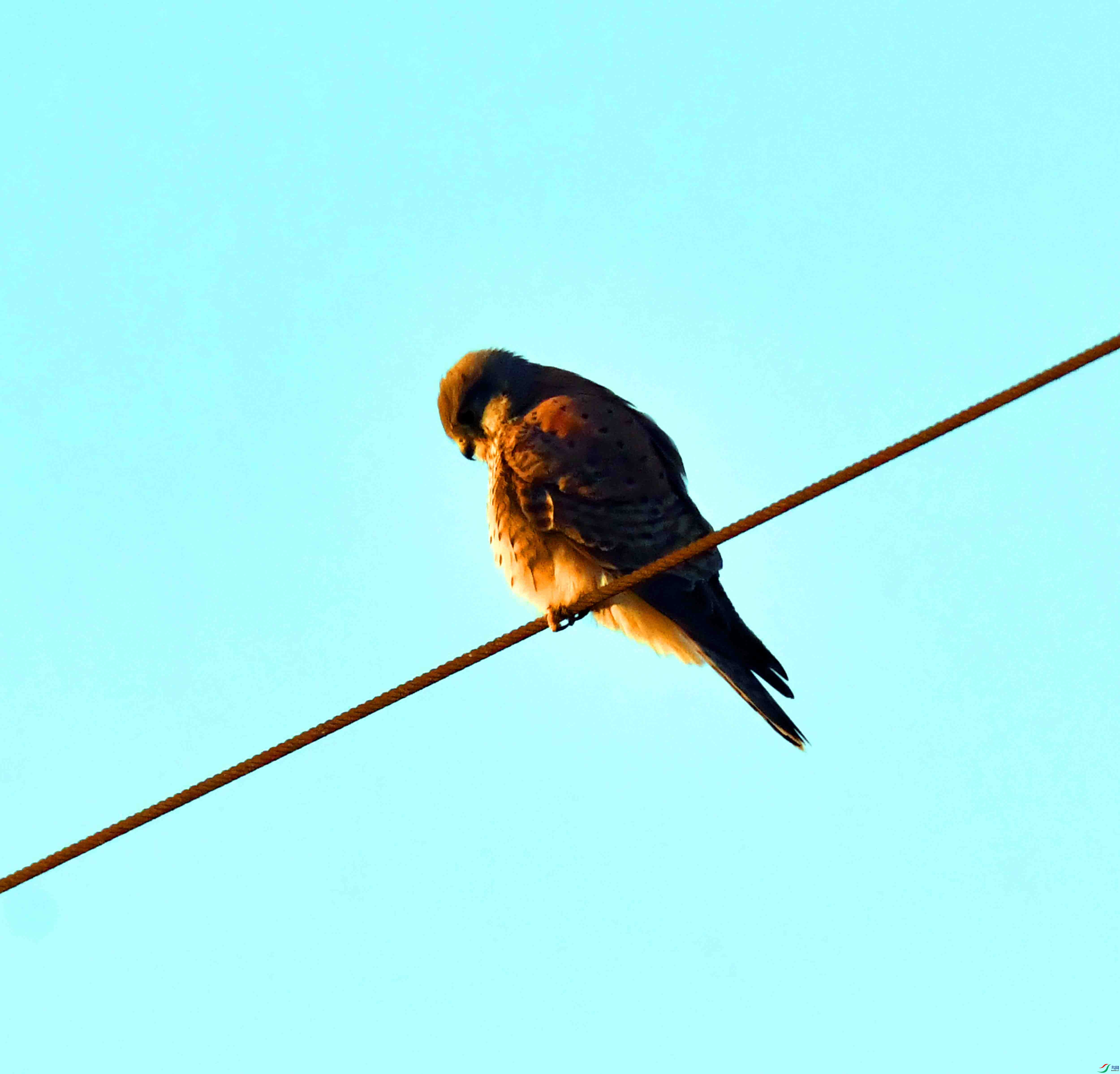 DSC_7176.JPG