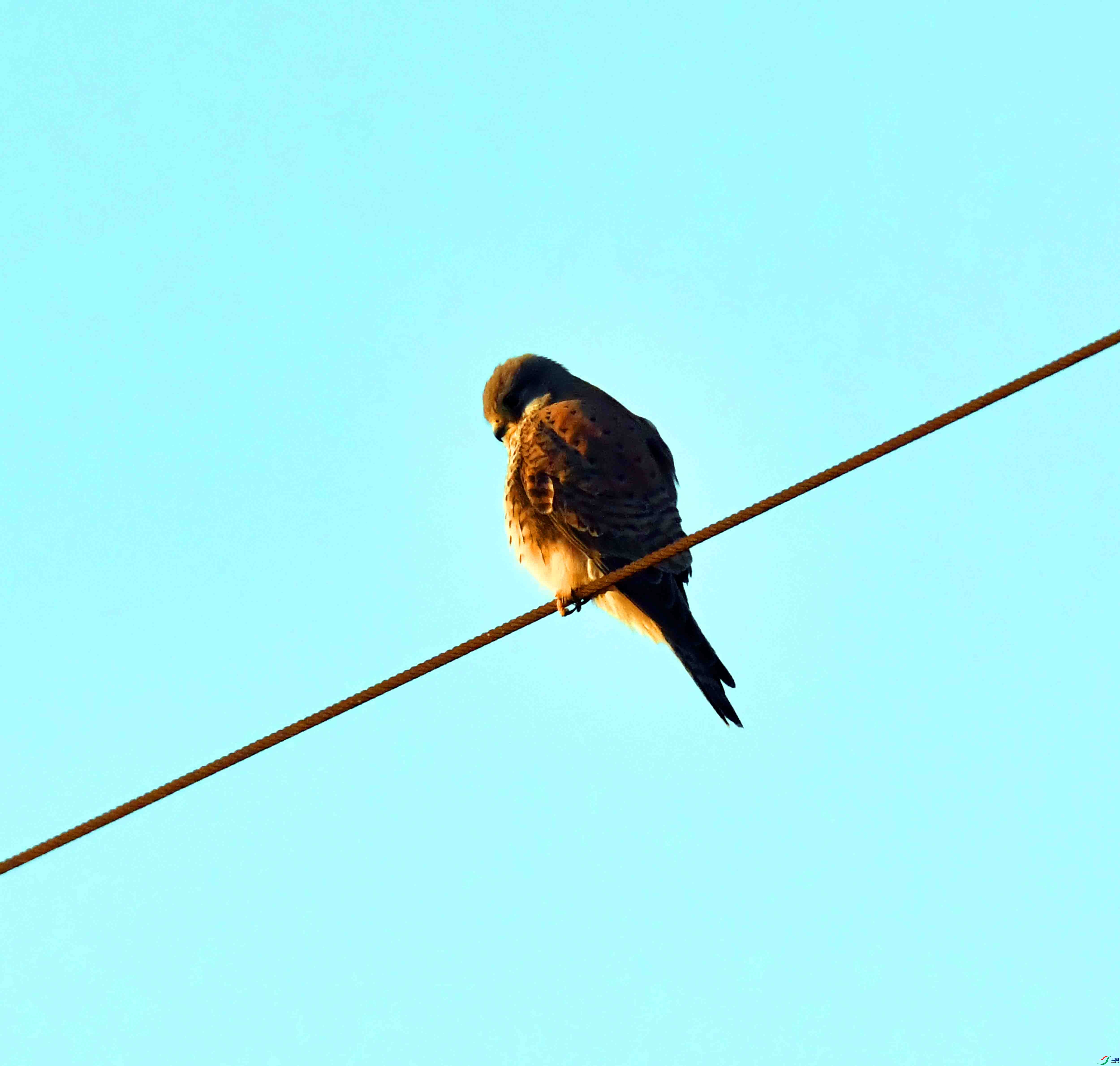 DSC_7205.JPG