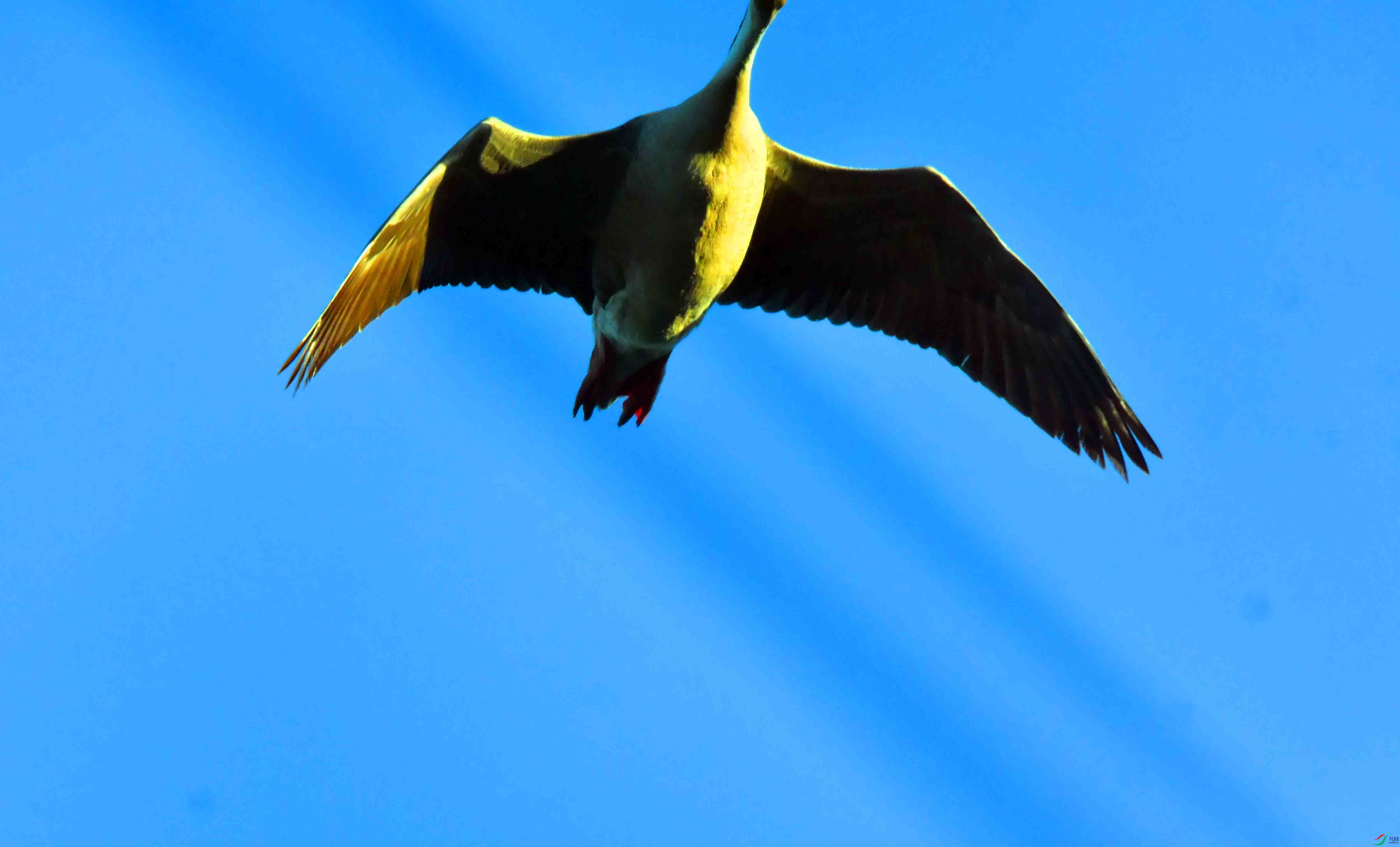 DSC_4616.JPG