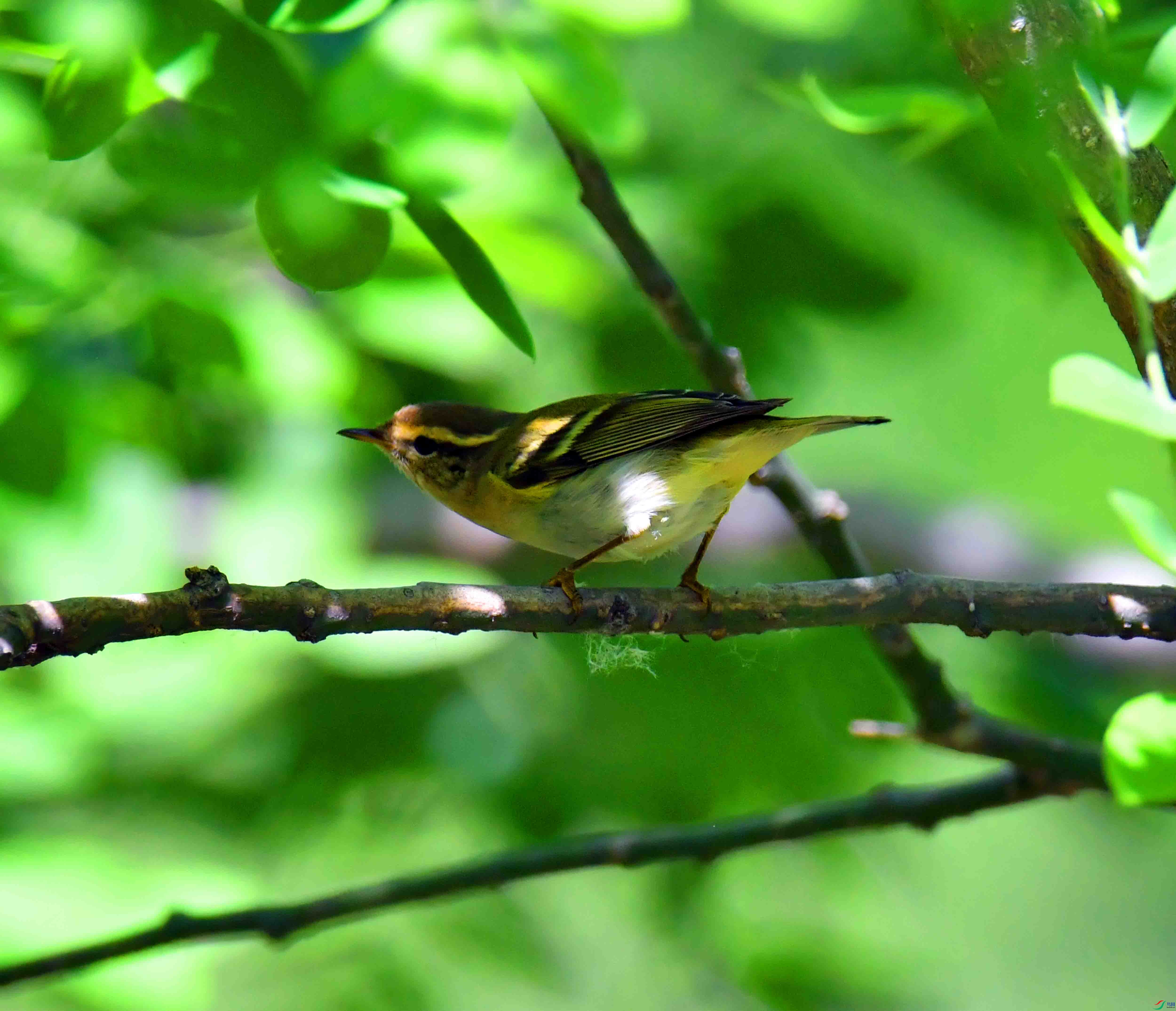 DSC_0457.JPG
