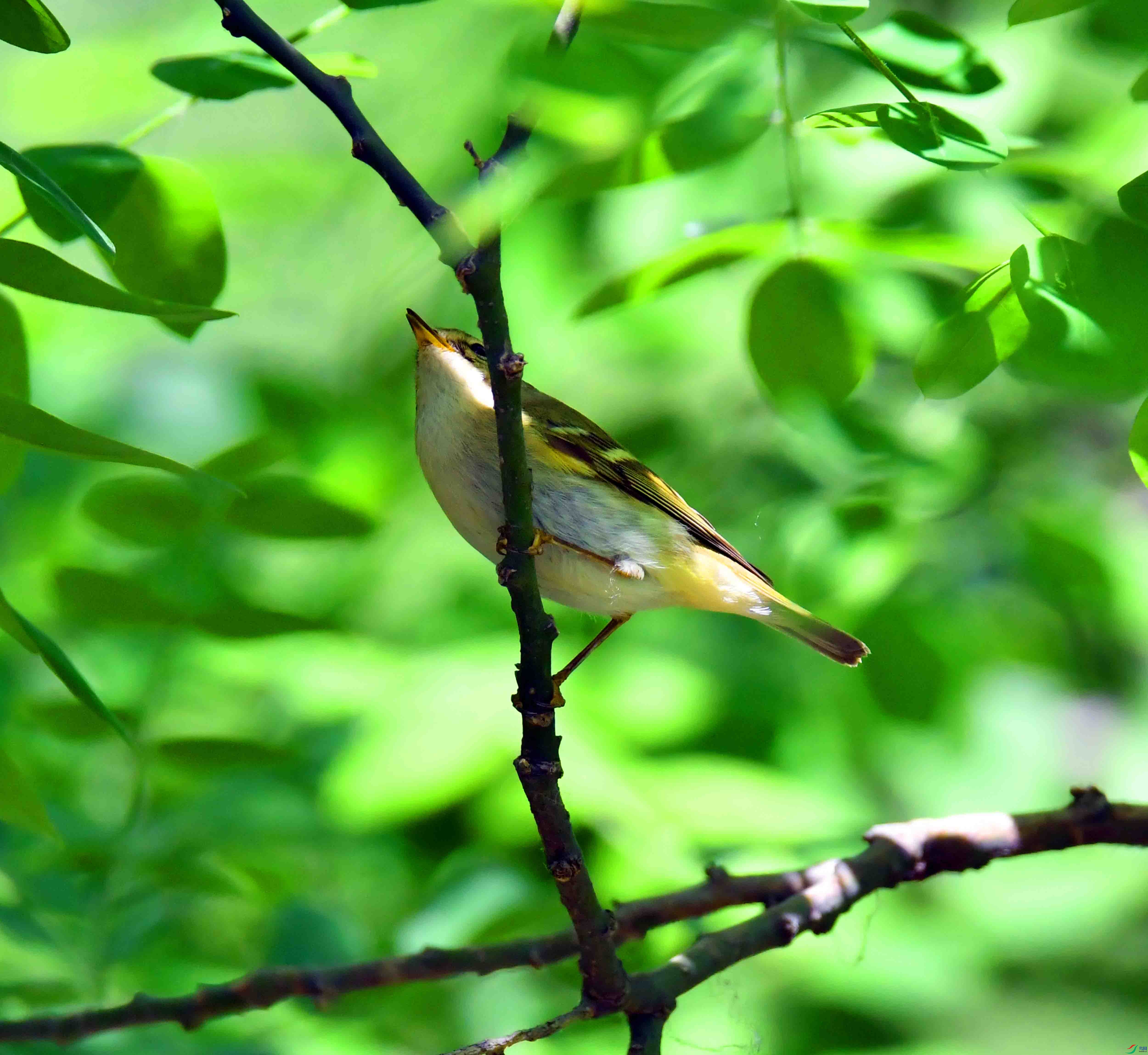 DSC_0458.JPG