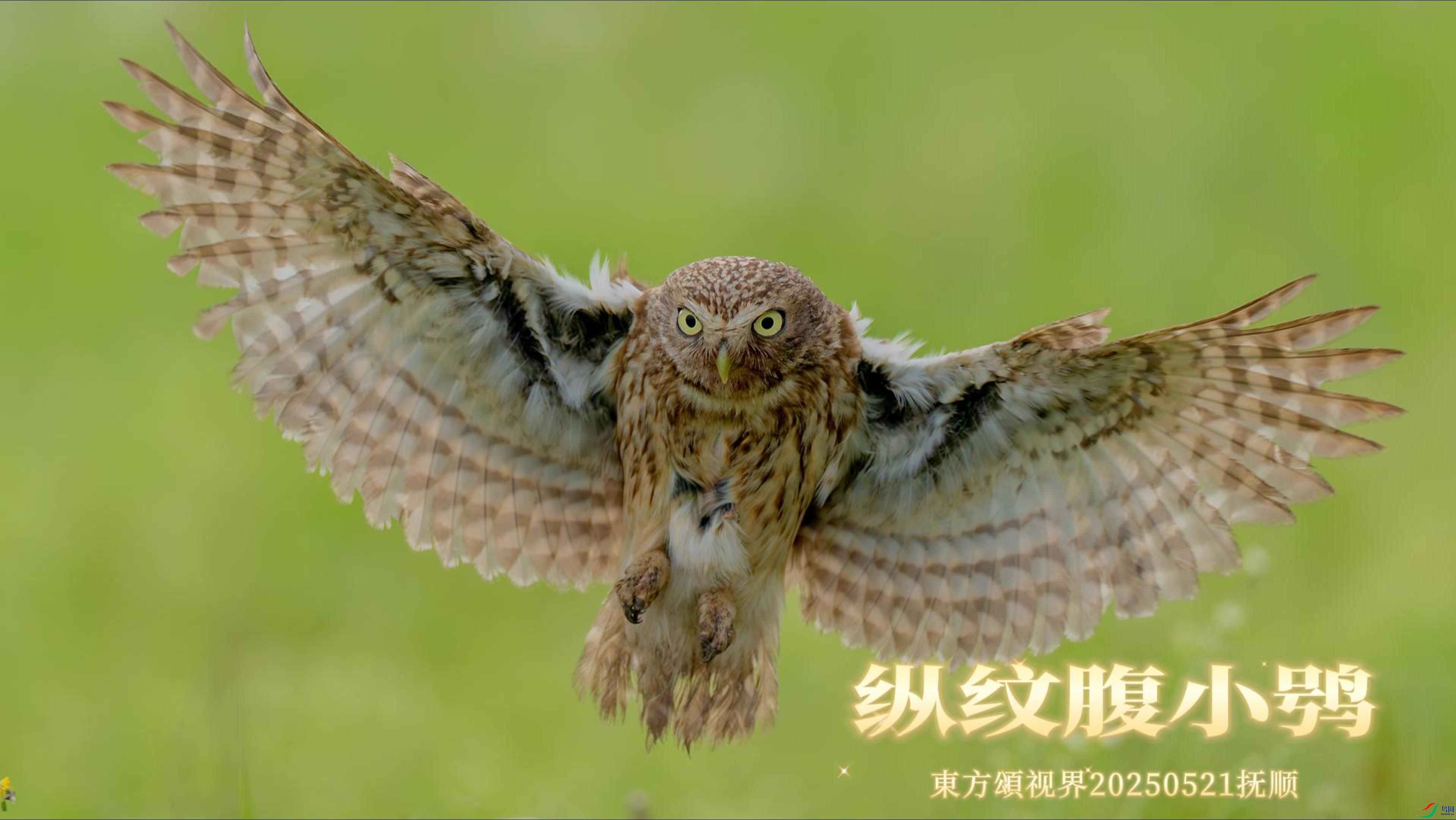 5��29�� è��-����.jpg