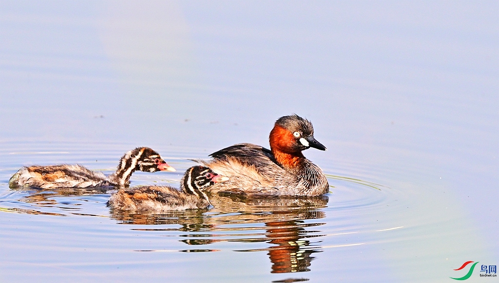 DSC_3947.JPG
