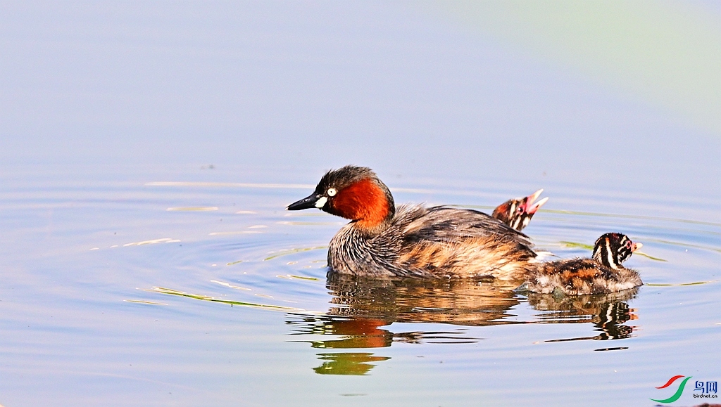 DSC_3952.JPG