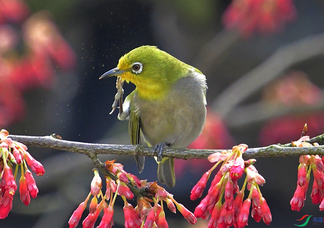 ������3 (4).JPG