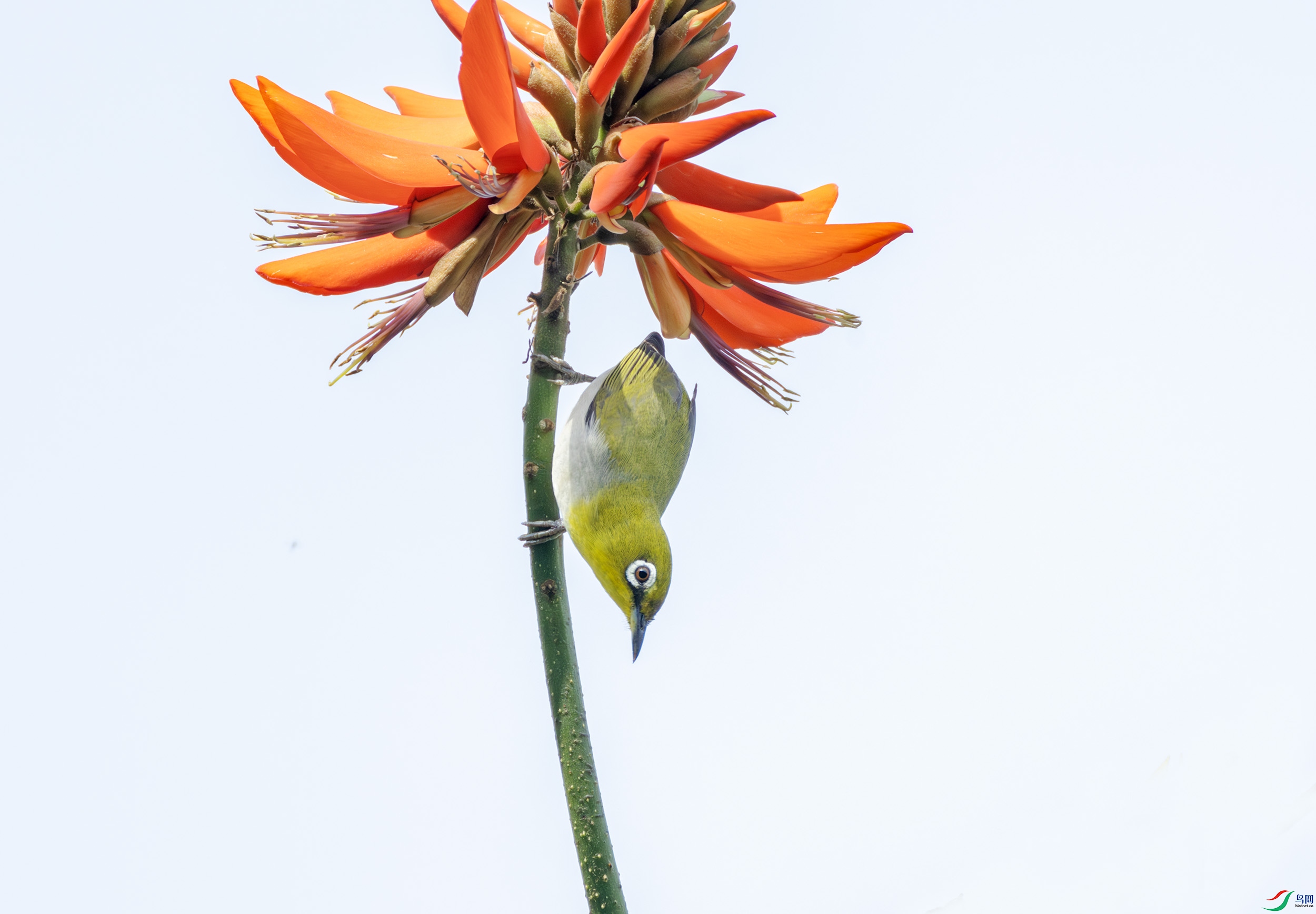 2I1A3443-����ǿ-NR ����.jpg