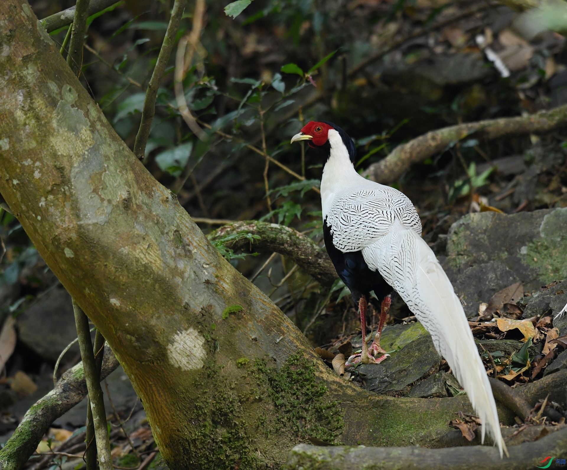 DSC_8504.jpg