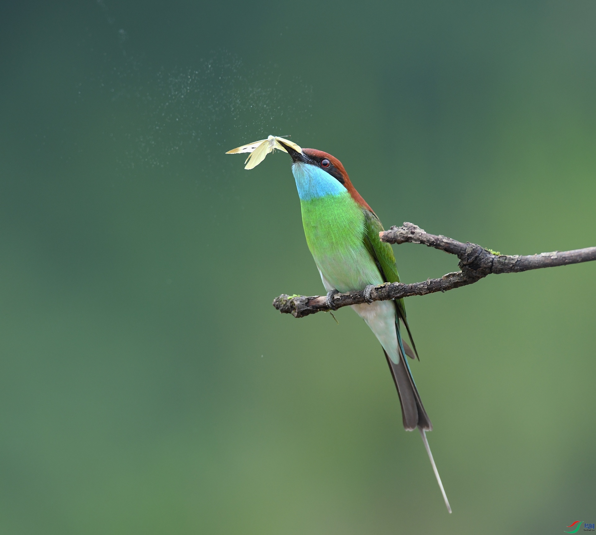 DSC_3401.jpg