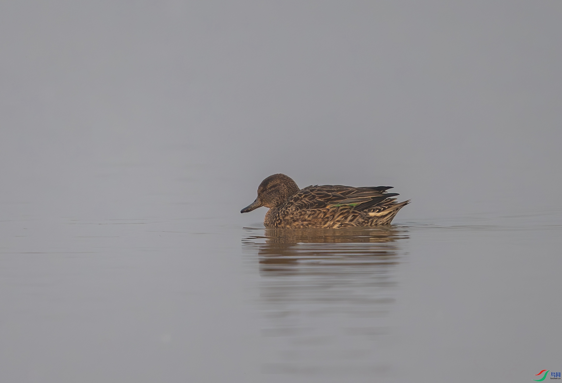 DSC_7491.jpg