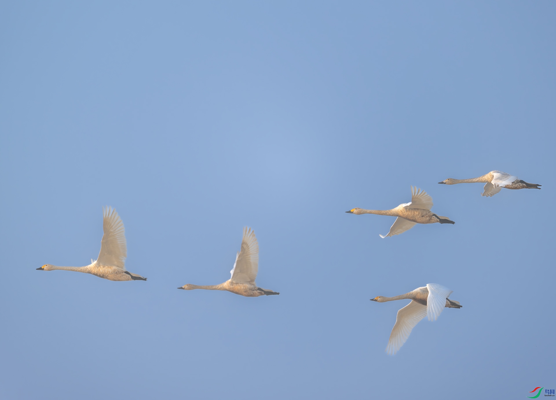 DSC_8204.jpg