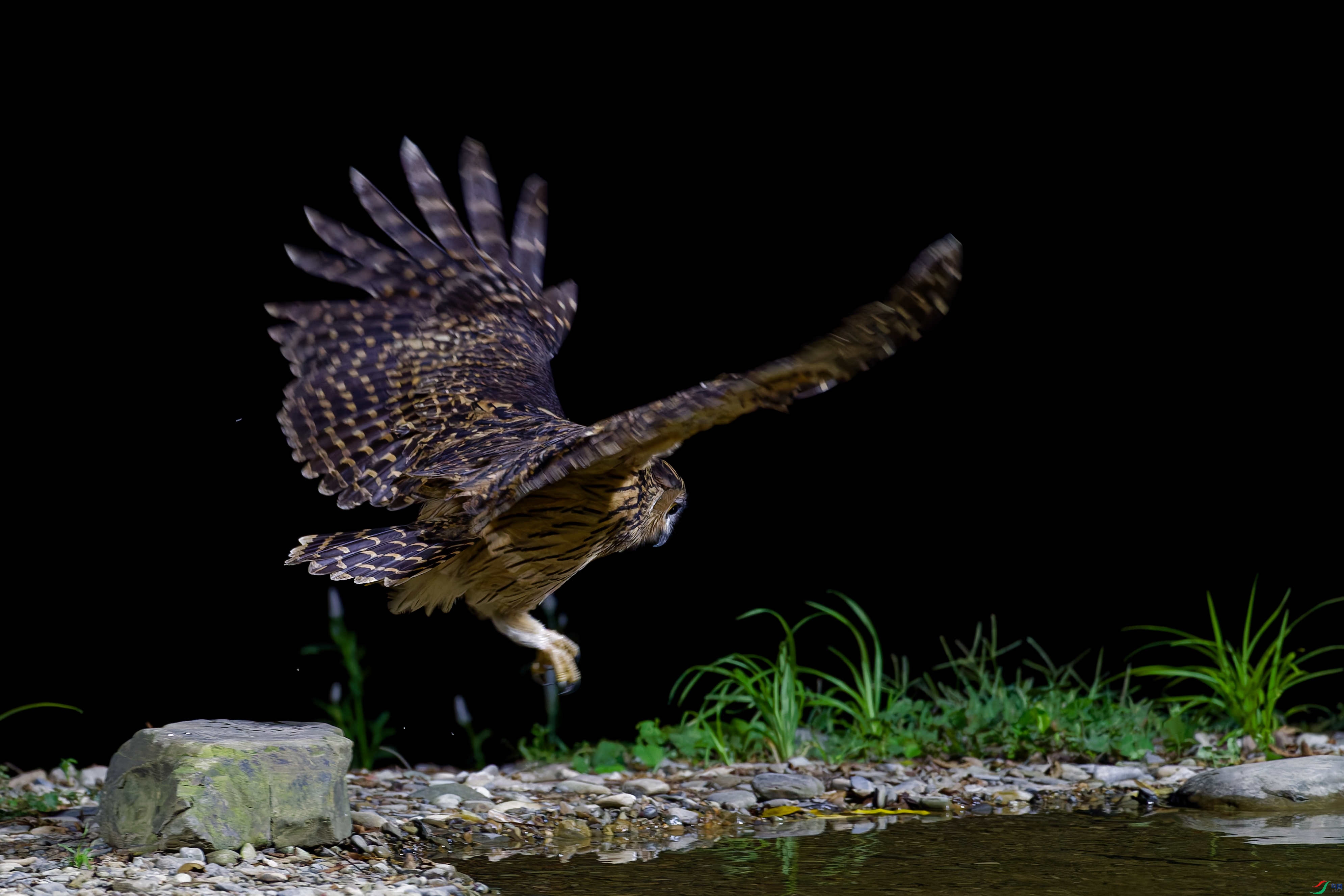 DSC_3464_DxO_DxO.jpg