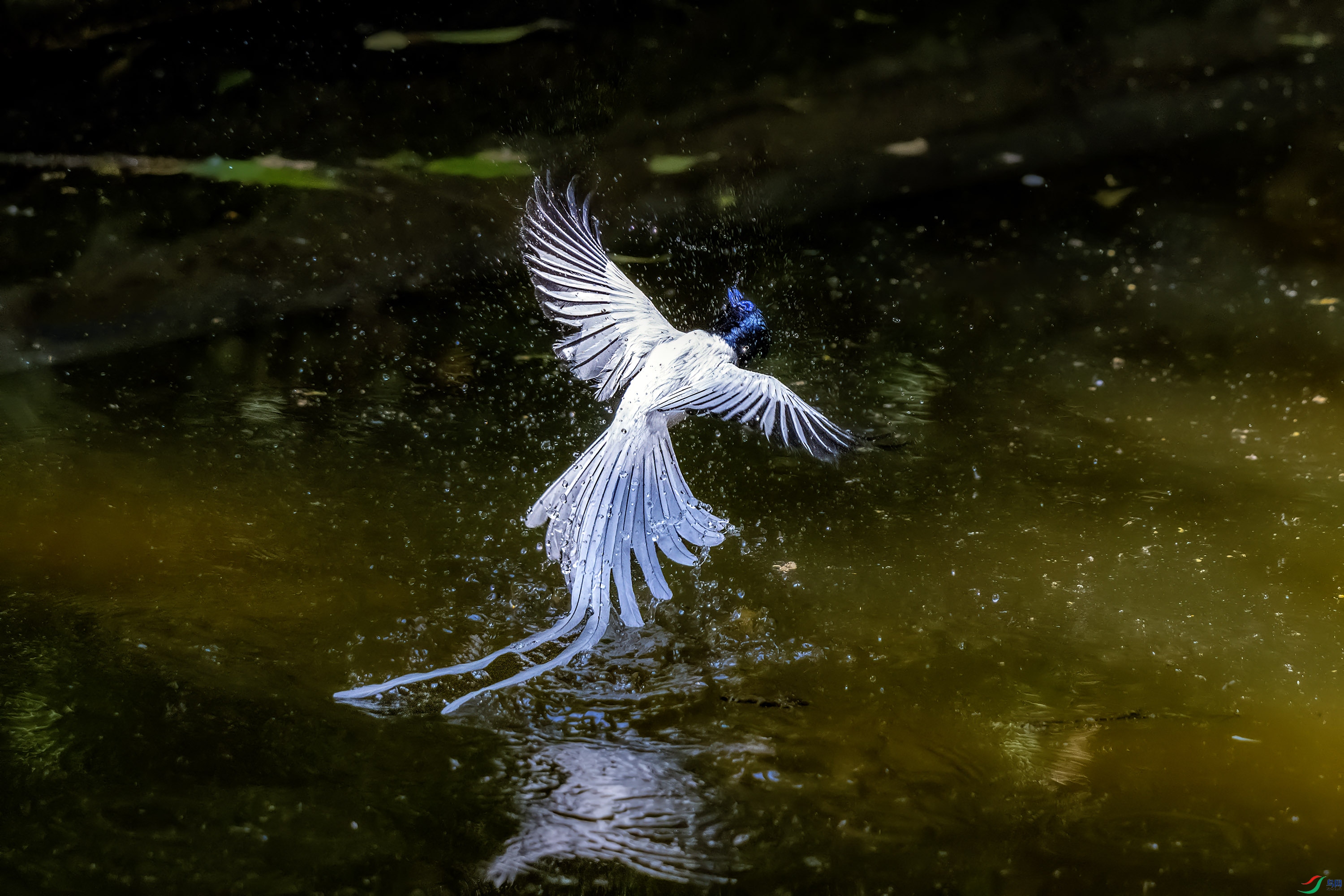 DSC_1958.jpg