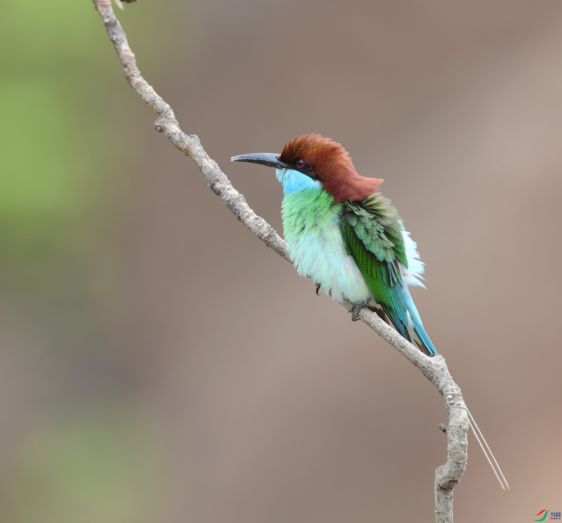 DSC_6021.jpg