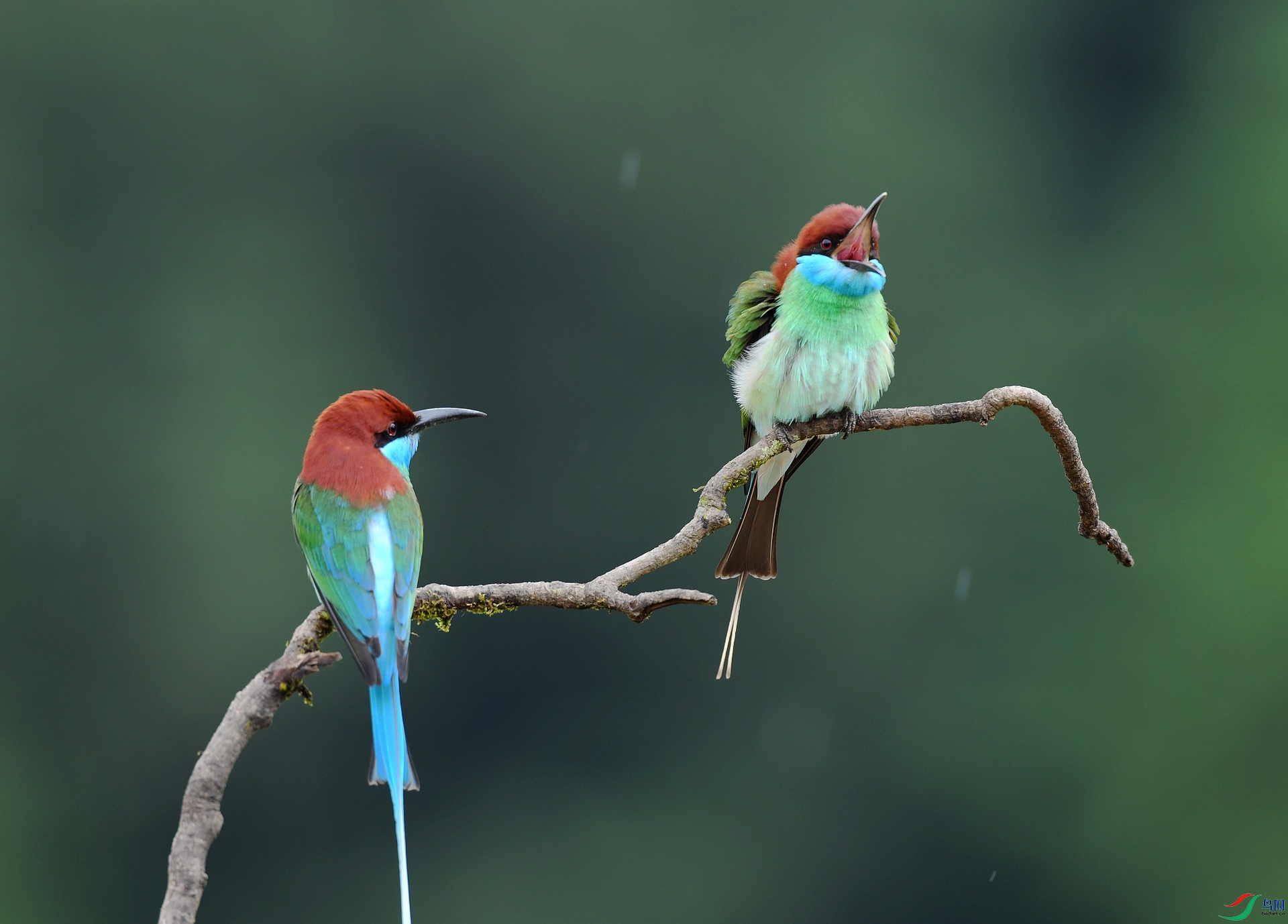 DSC_4455.jpg