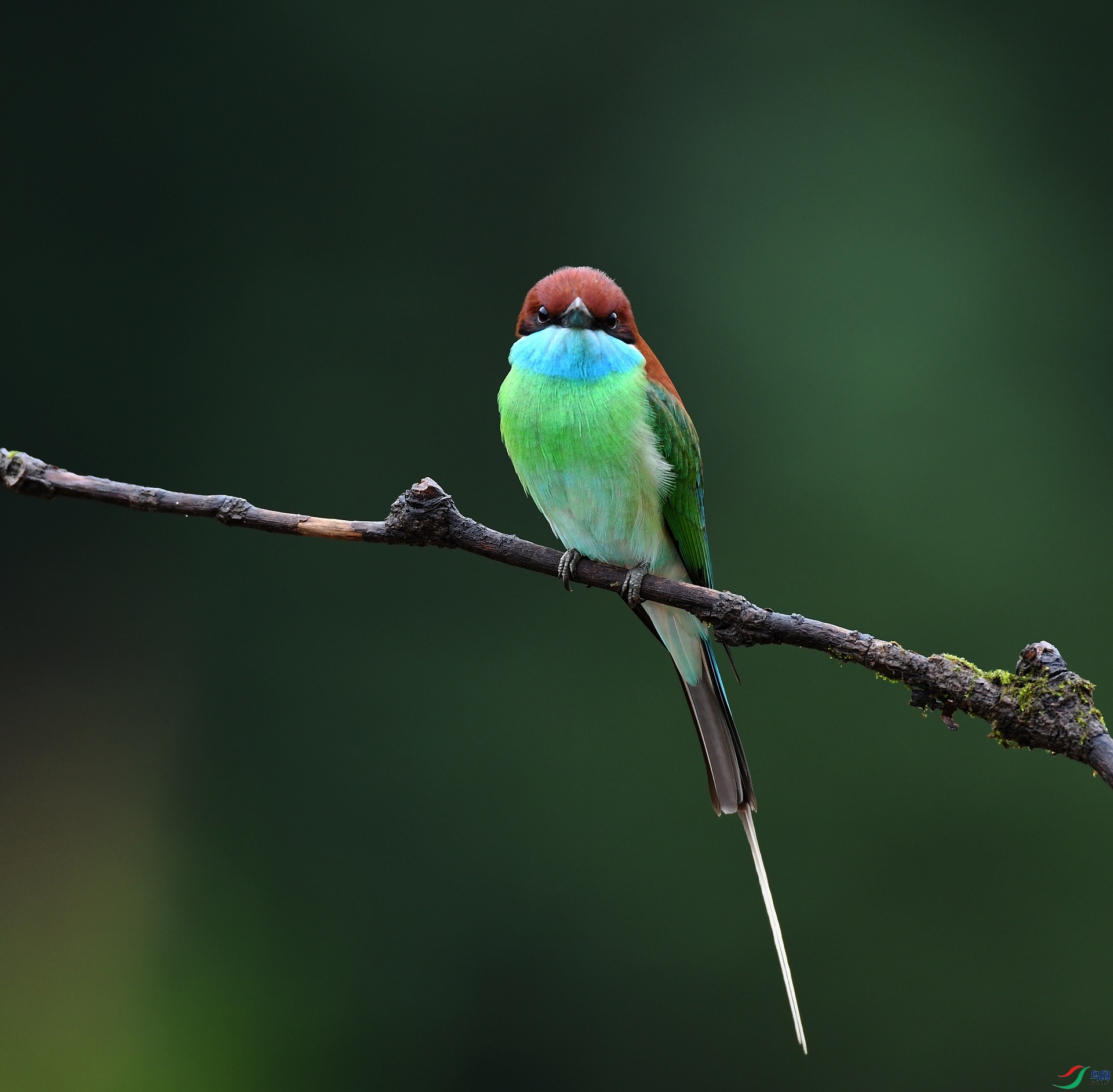 DSC_3704.jpg