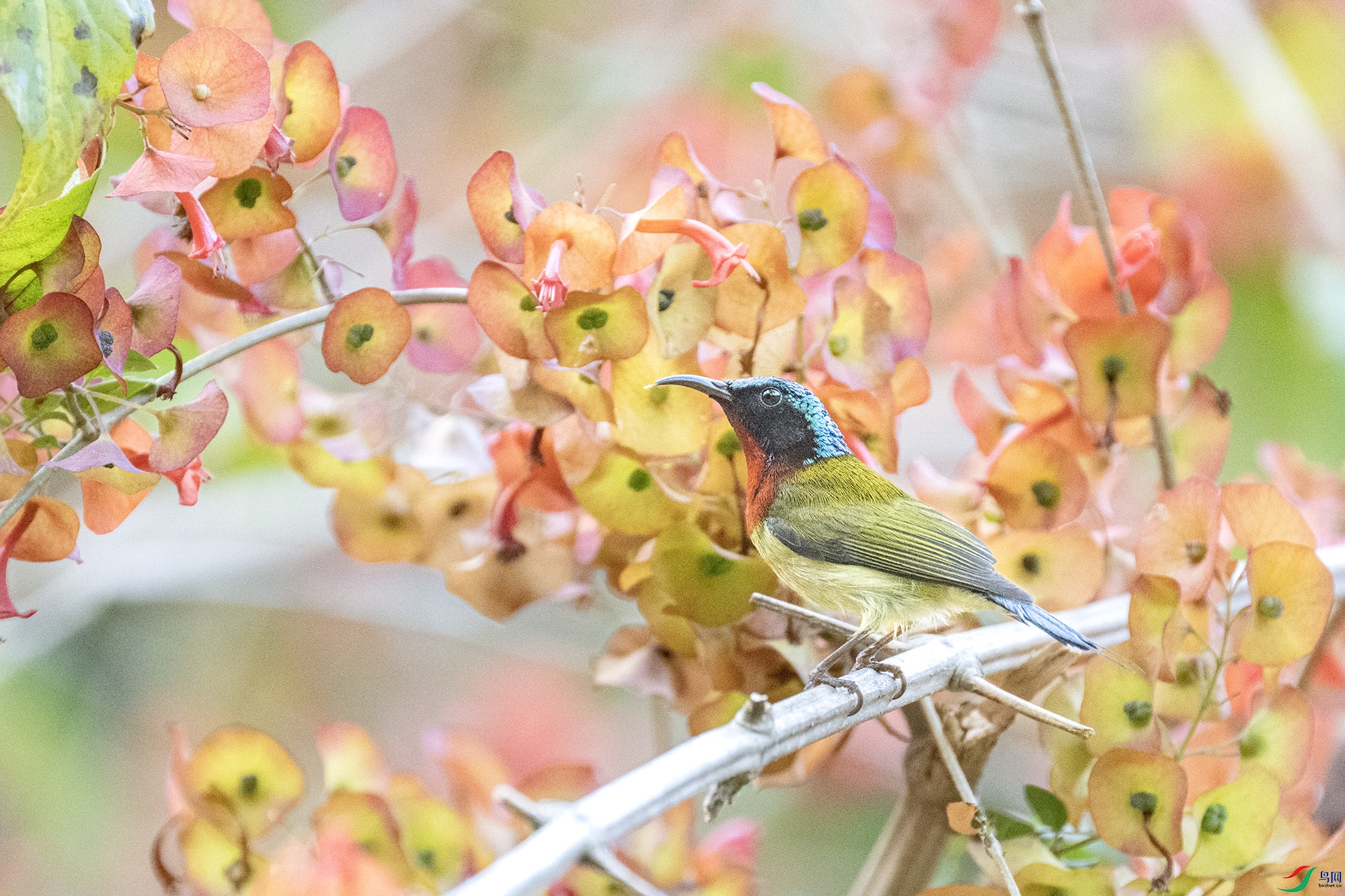 DSC_7604.jpg