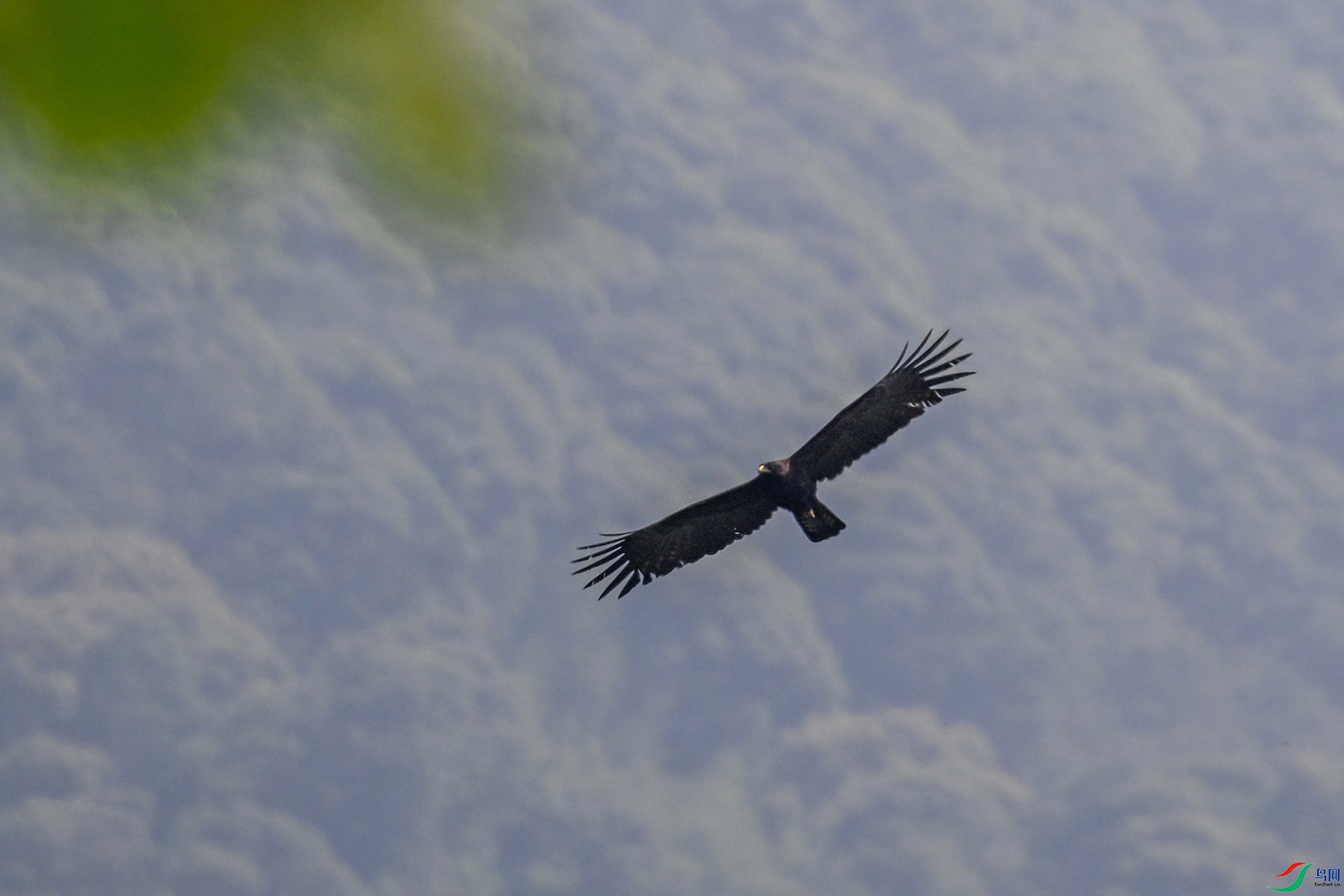 DSC_5020.JPG