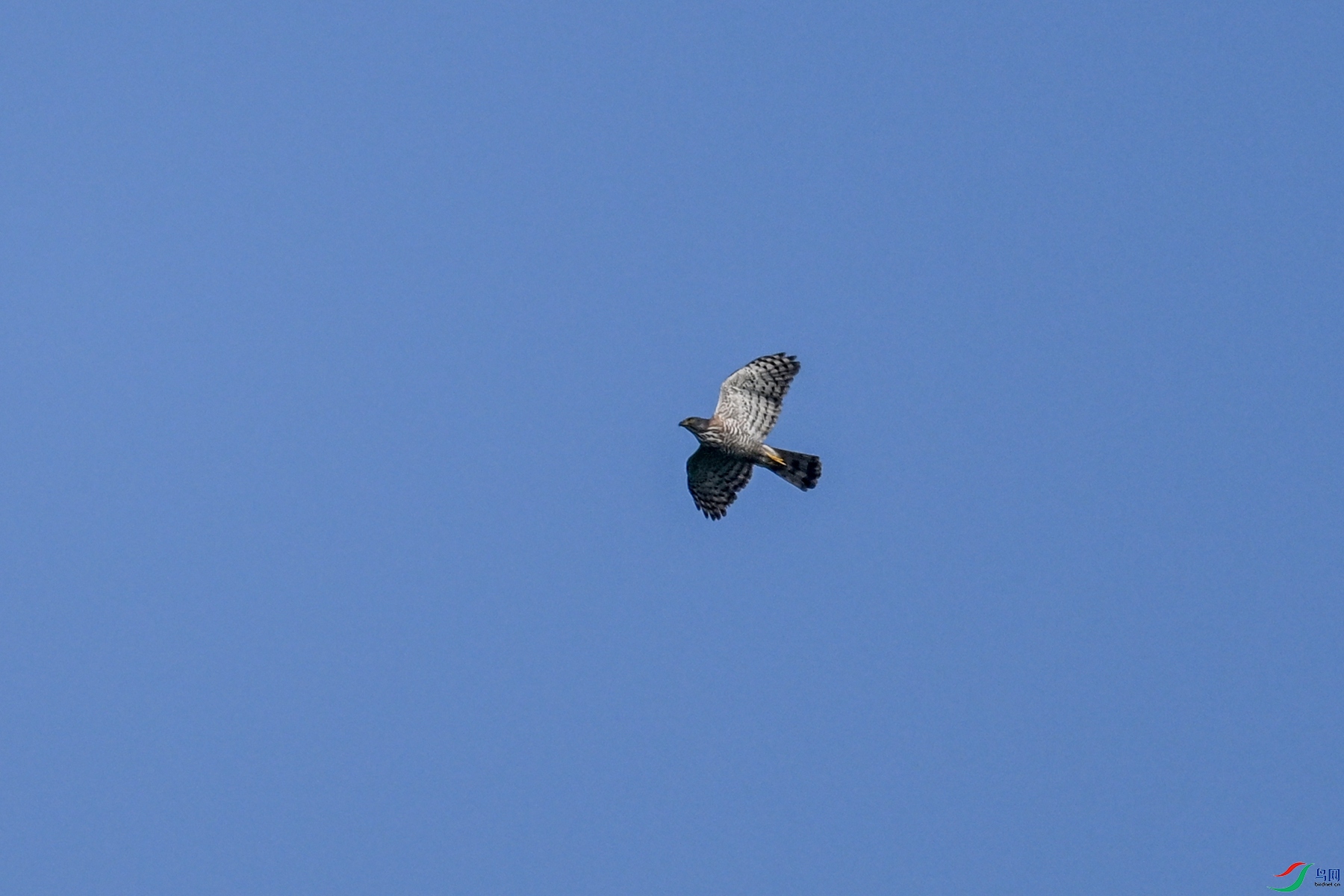 DSC_4961.JPG