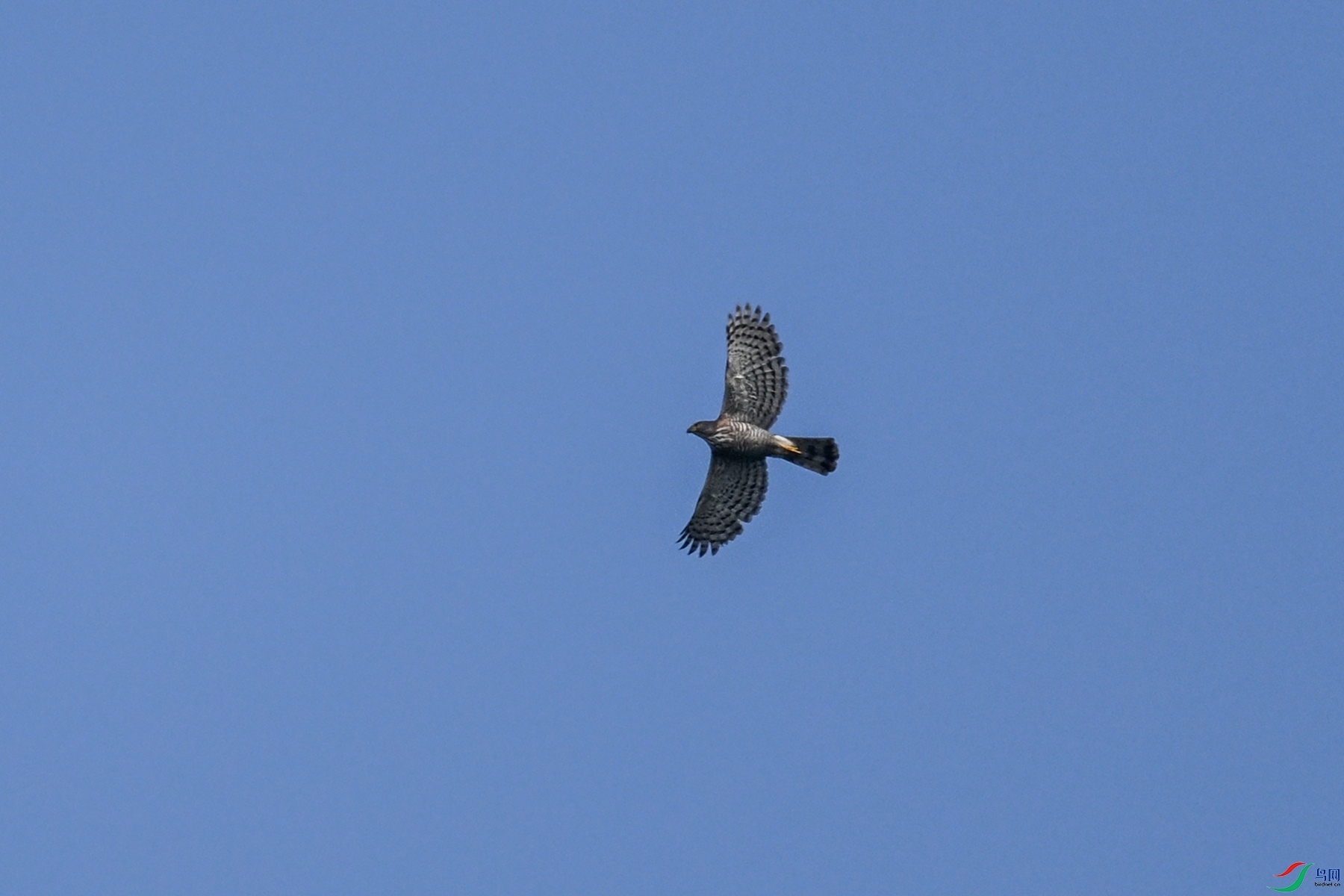DSC_4962.JPG