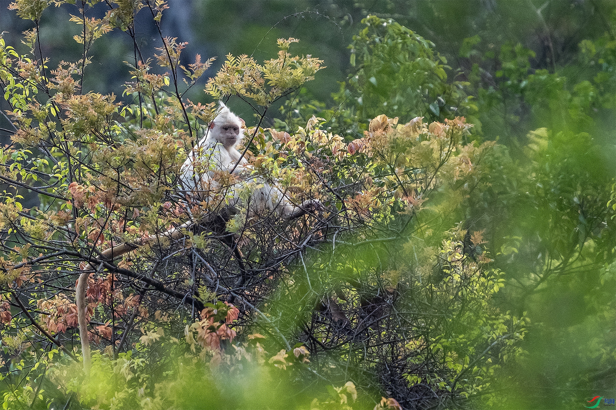 DSC06725 ����aa-1.jpg