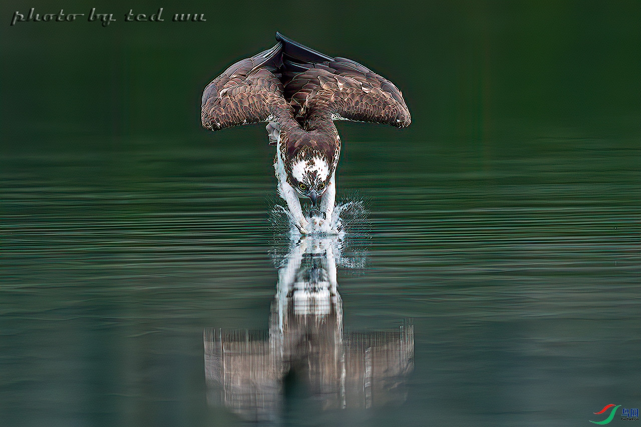 ��Ӱ���p��