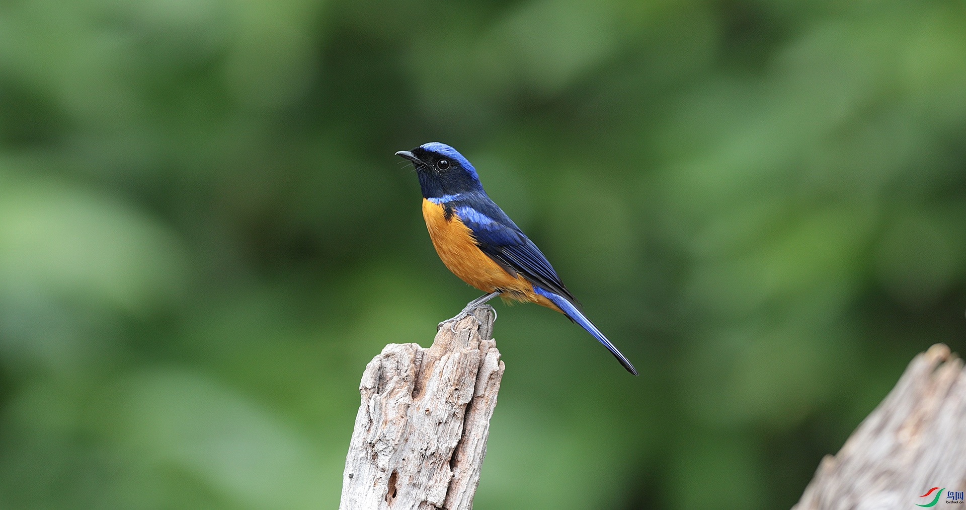 �ظ����l������.jpg