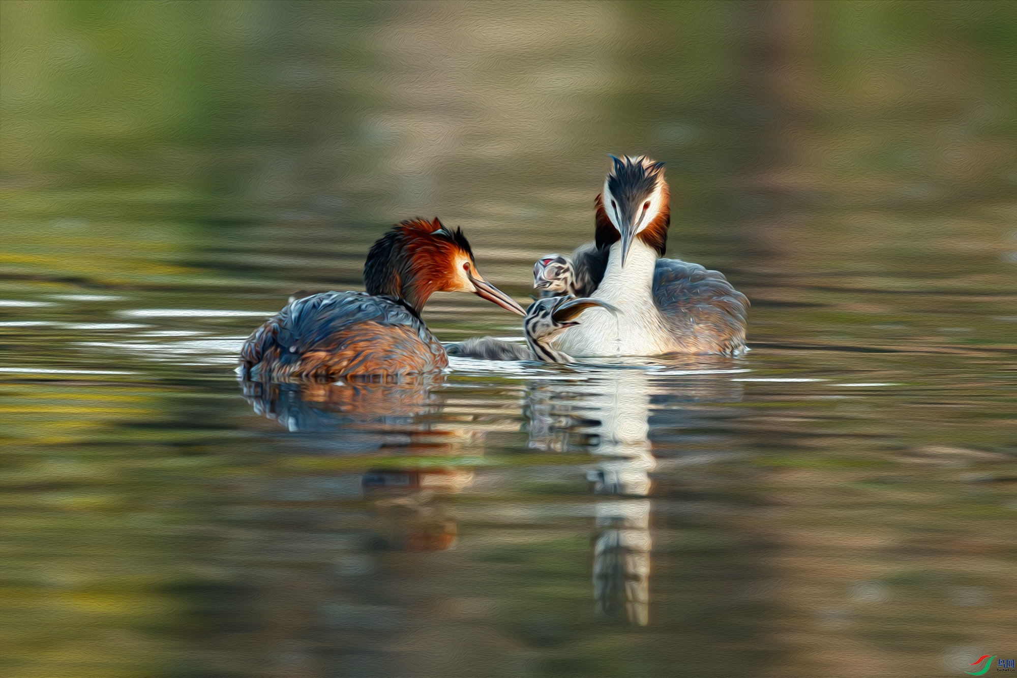 AQ9I4855-����ǿ-NR ����.jpg