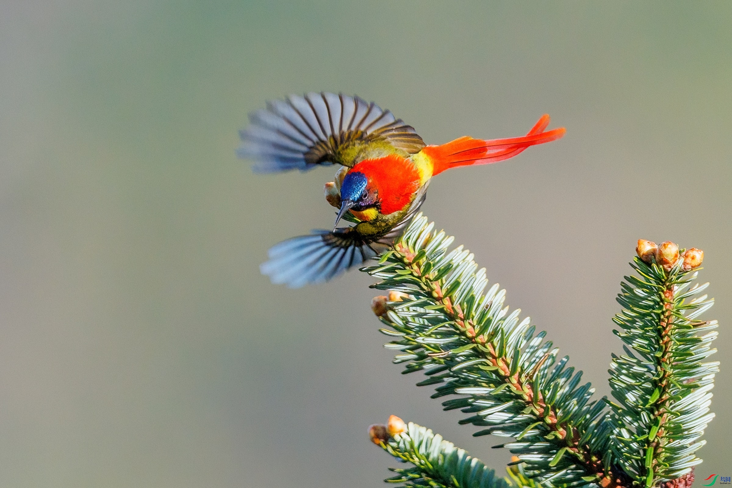 0S6A9526_����.jpg