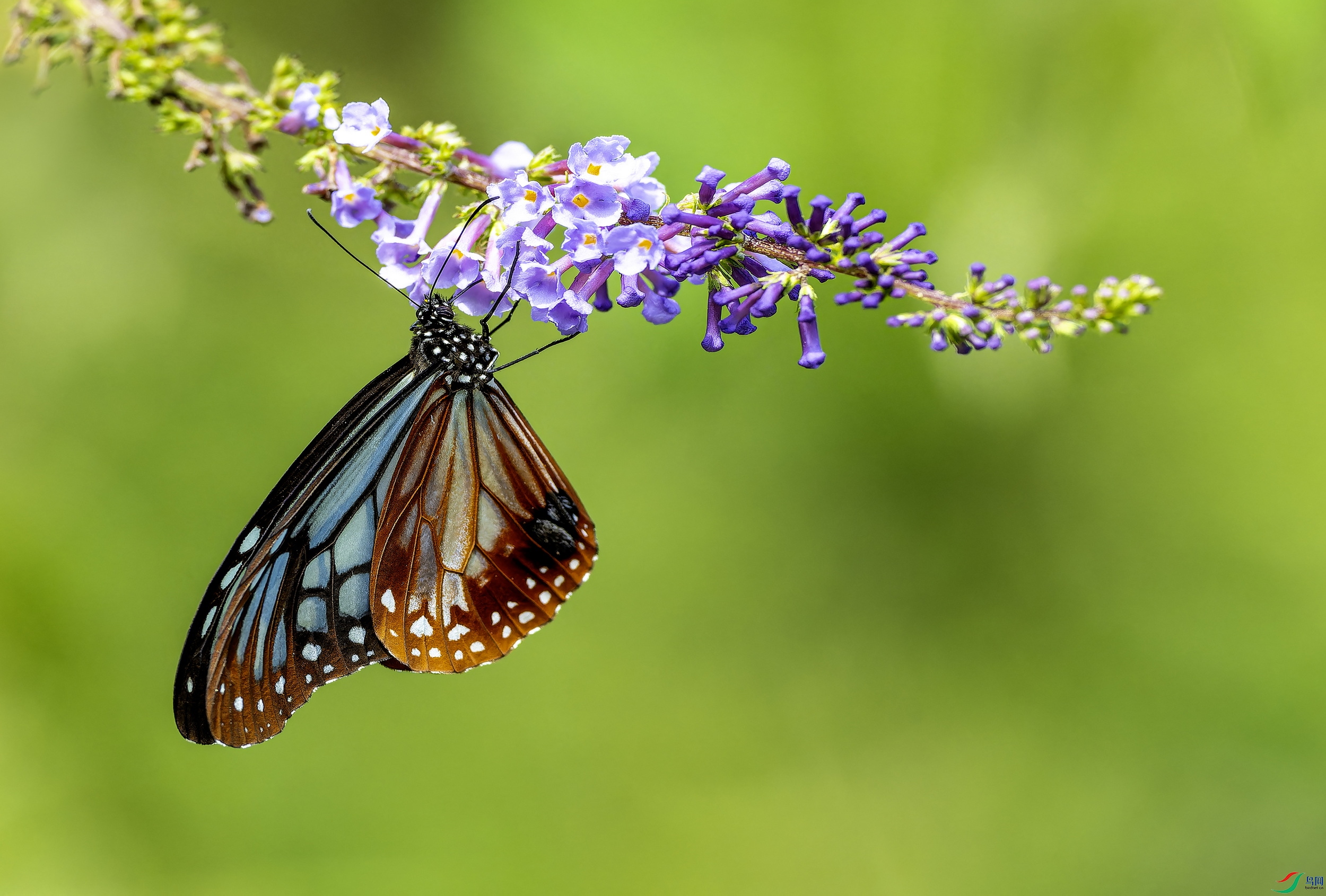 ���ߵ� (8)-01.jpg