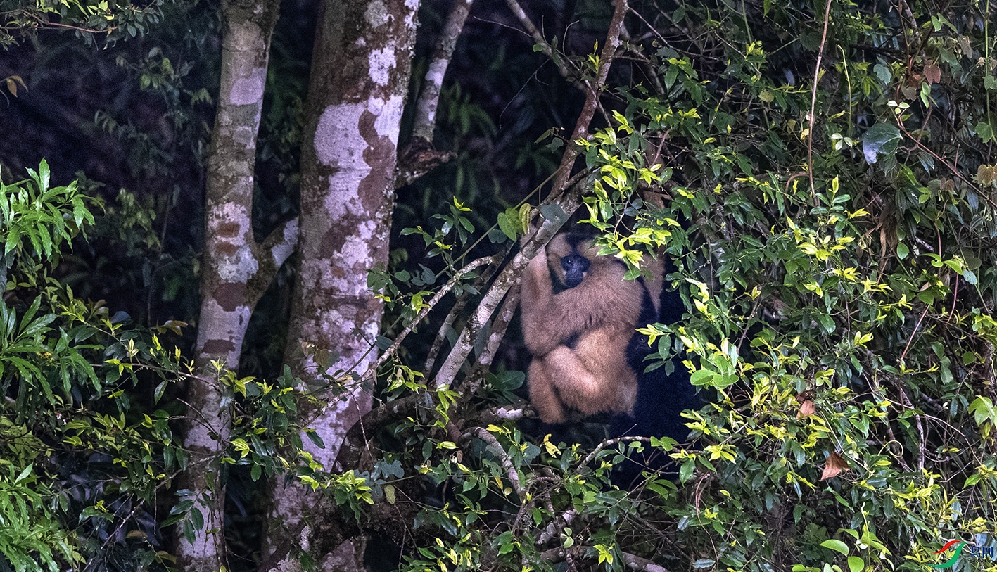DSC_1377 ����.jpg