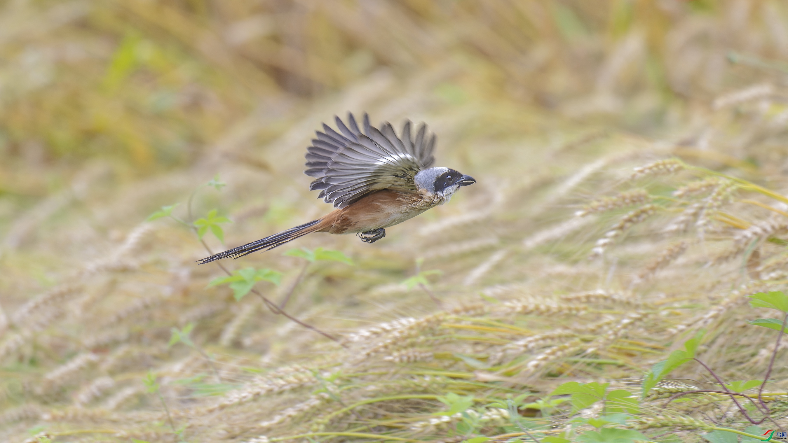 DSC_5047_DxO.jpg