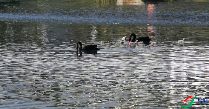 DSC_1377.JPG