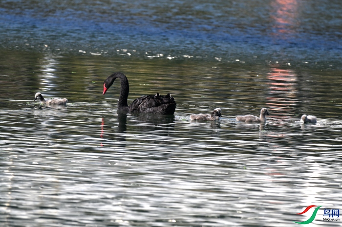 DSC_1384.JPG