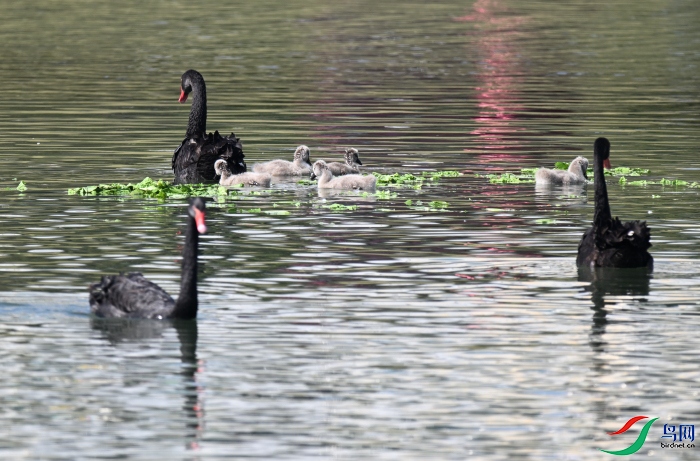 DSC_1249.JPG