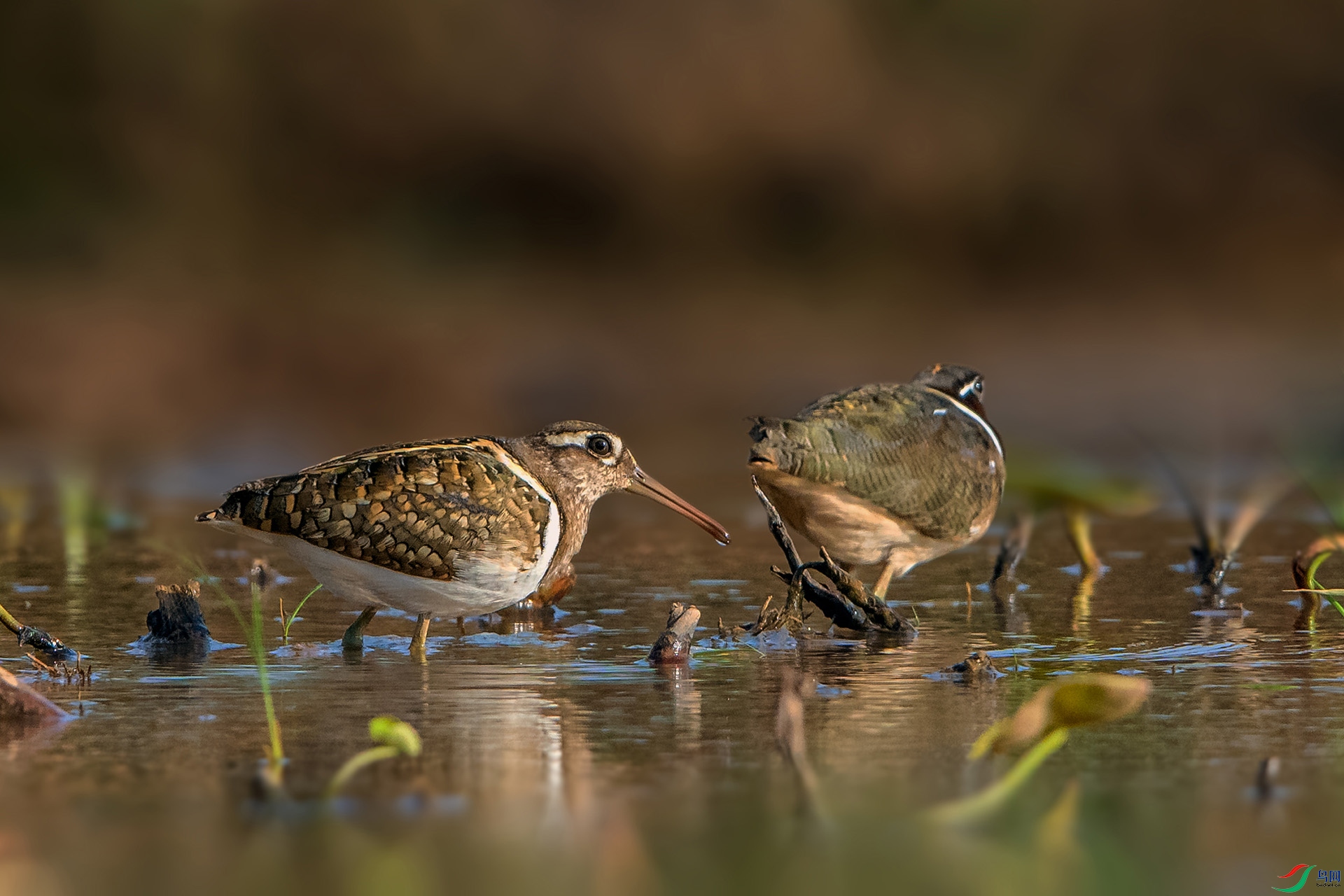 _AUU2524����(24.5.4).jpg